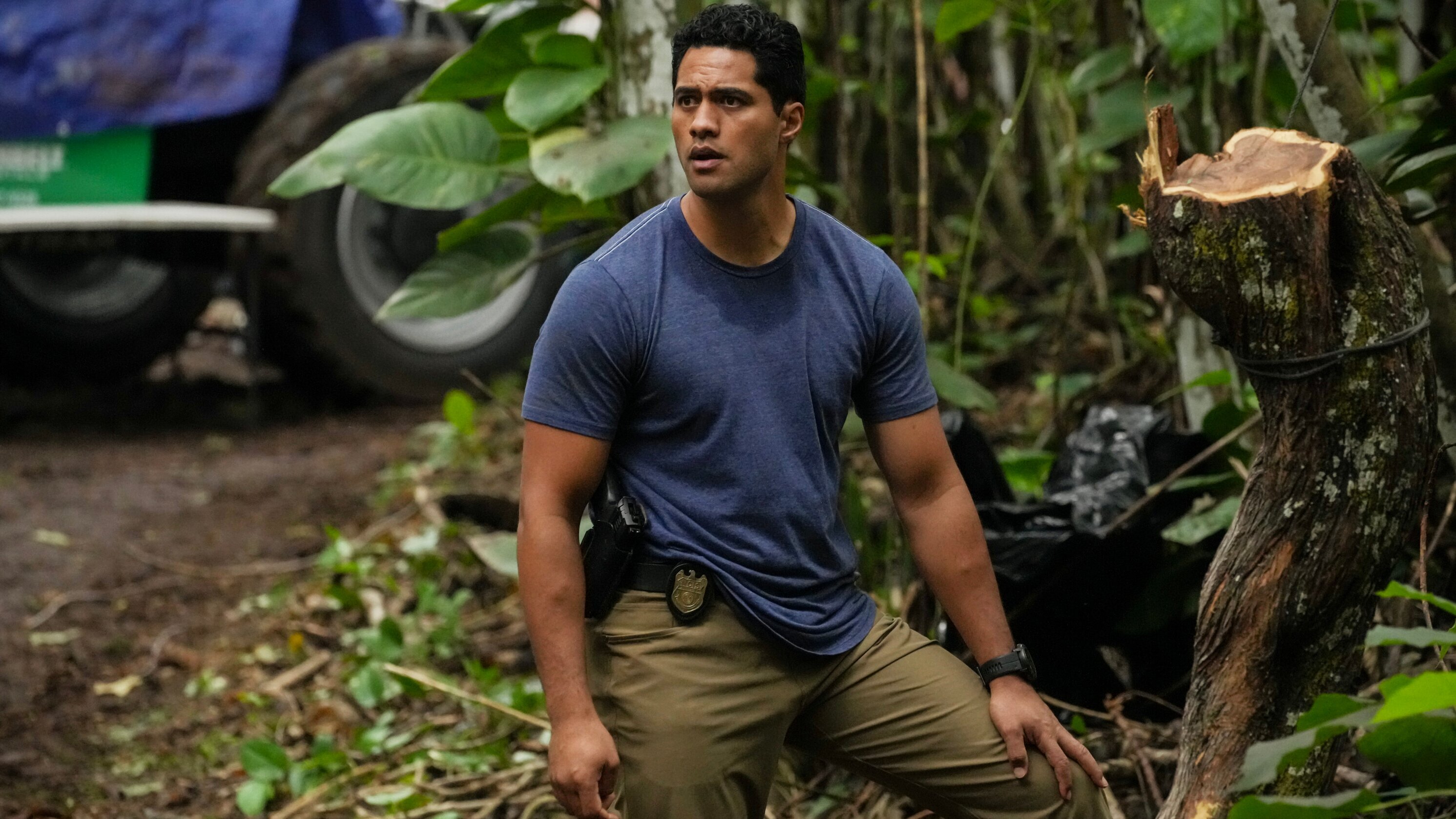 Navy CIS: Hawaii