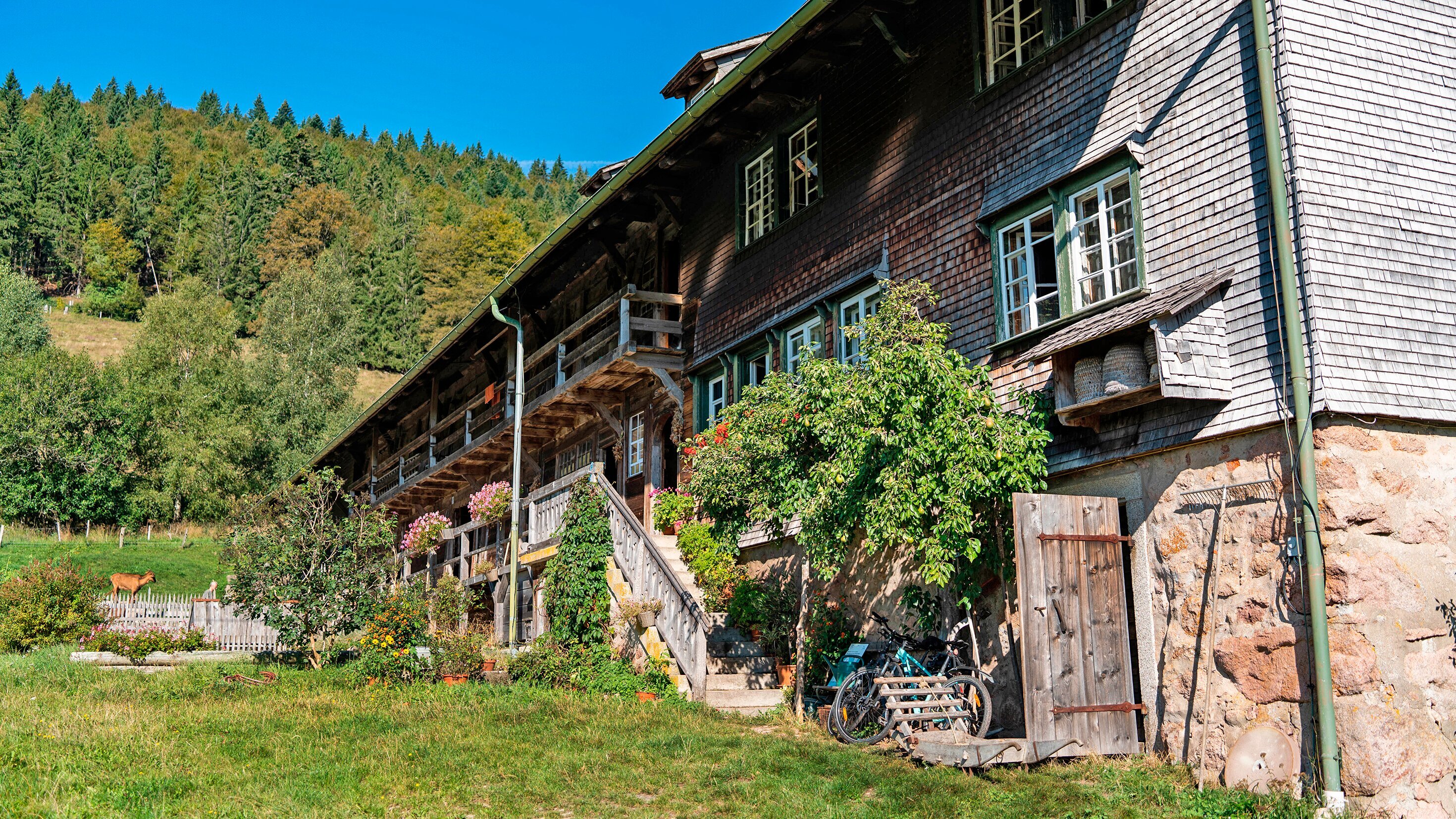 Hofgeschichten – Ackern zwischen Alpen und Ostsee