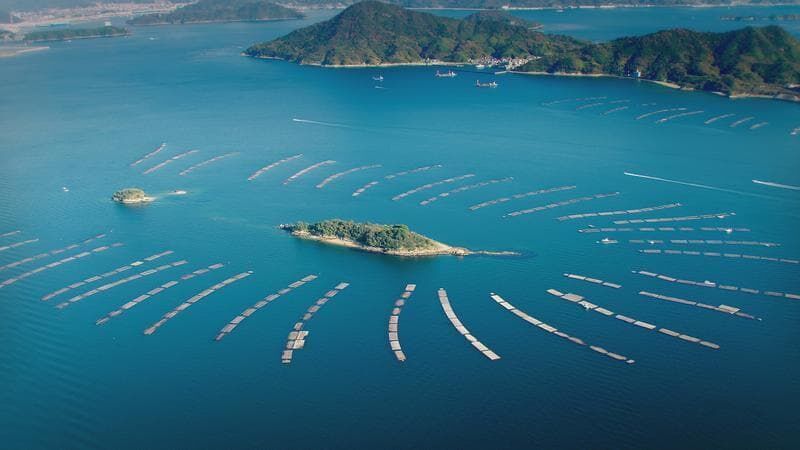 Japan – Land der fünf Elemente