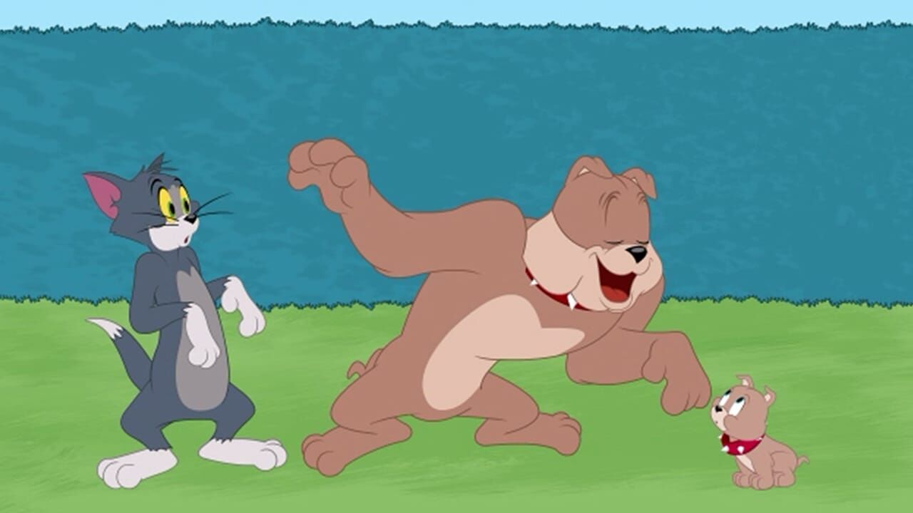 Die Tom und Jerry Show