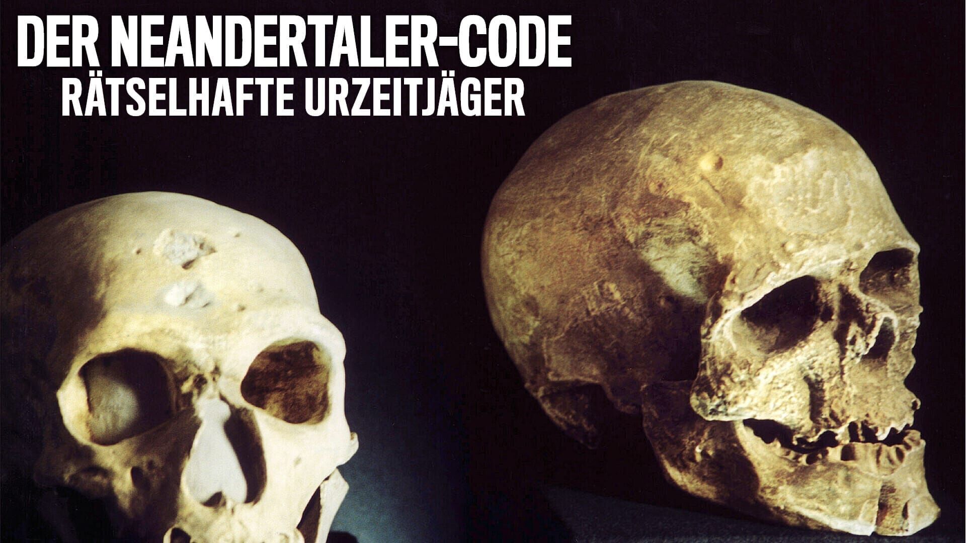 Der Neandertaler-Code – Rätselhafte Urzeitjäger