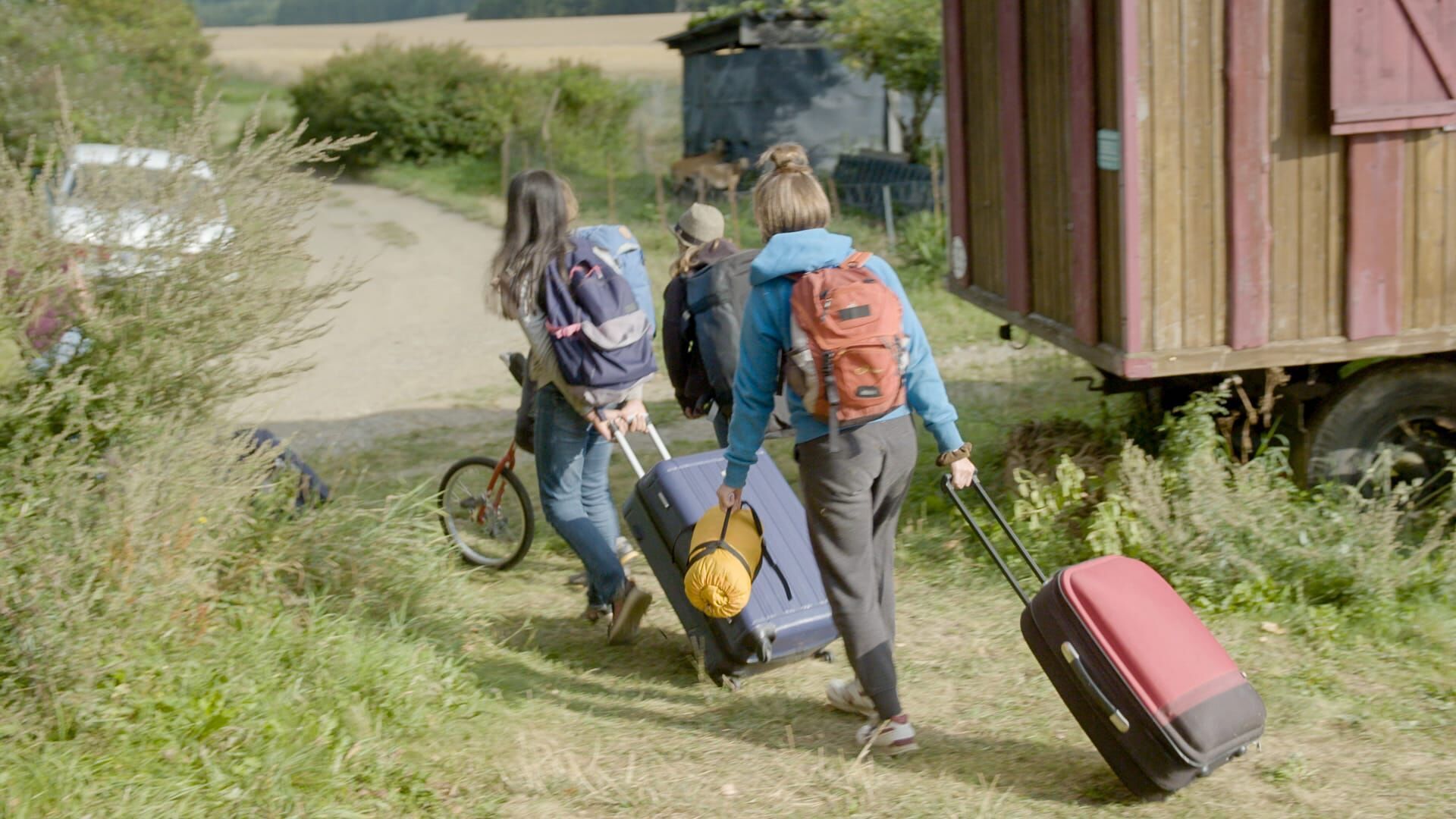 SommerCamp – Back To the Roots