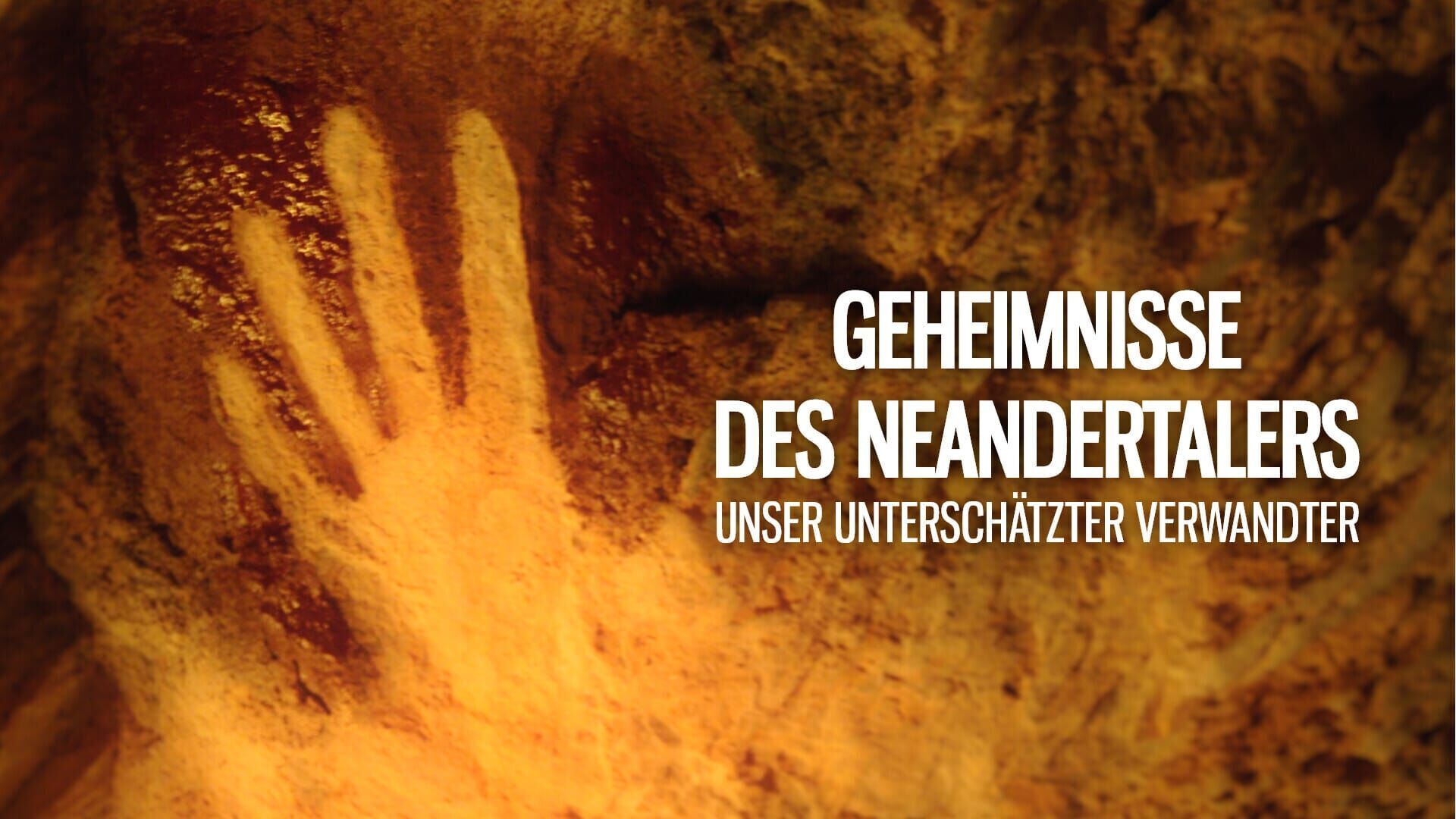 Geheimnisse des Neandertalers Unser unterschätzter Verwandter