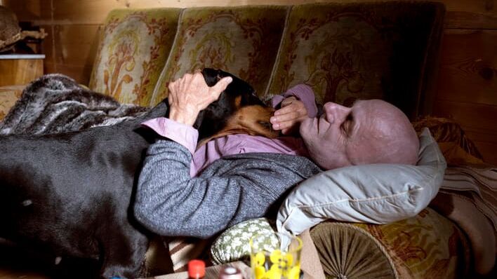 Tiere bis unters Dach