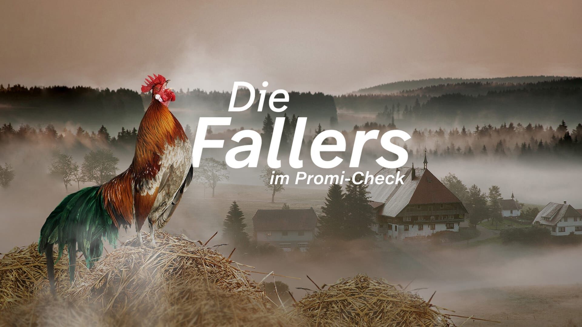 Die Fallers im Promi-Check