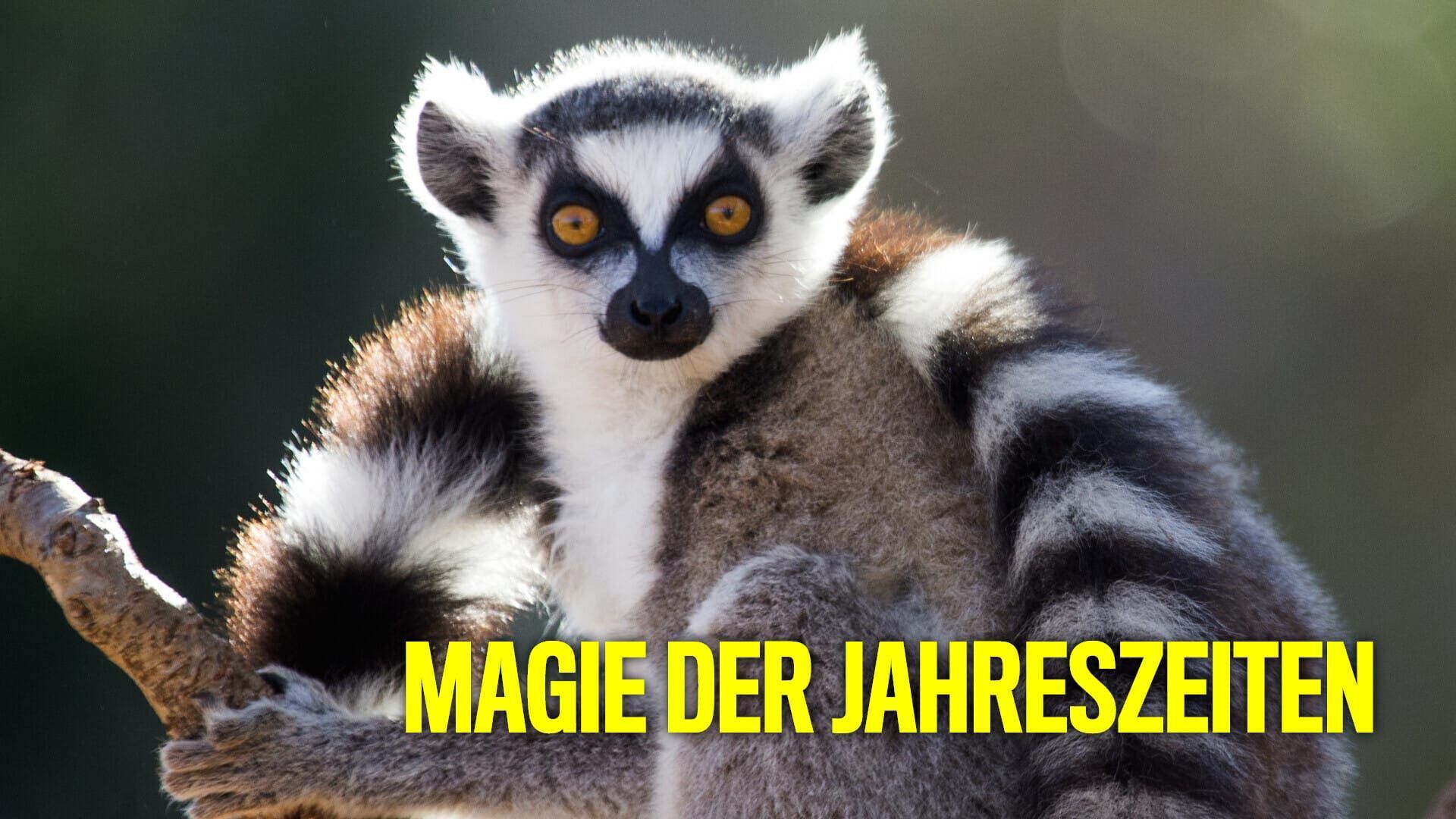 Magie der Jahreszeiten