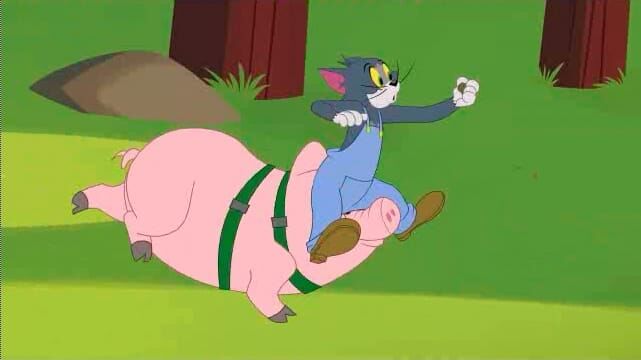 Die Tom und Jerry Show