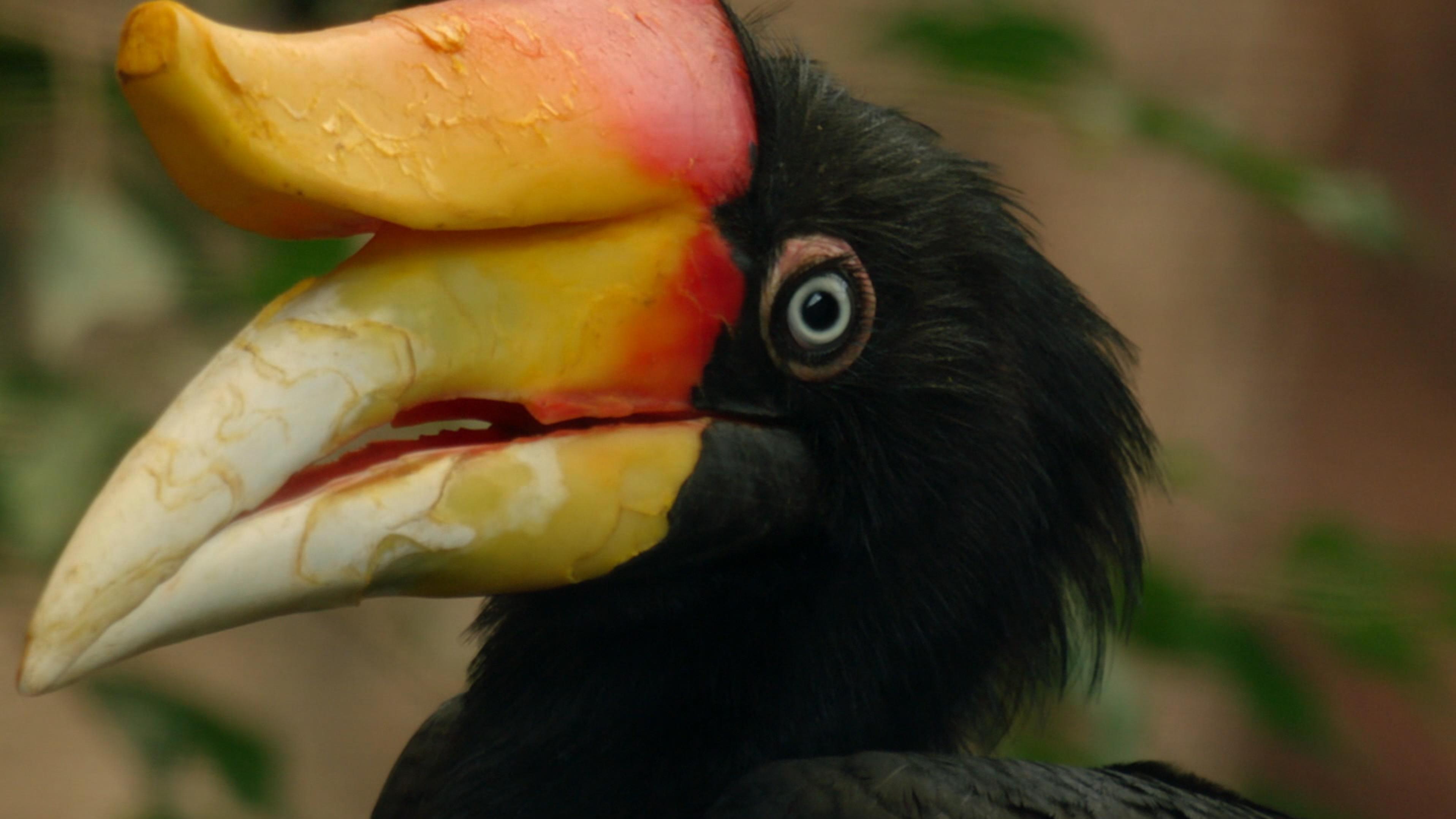 Zoo und so – Tierisch wild!