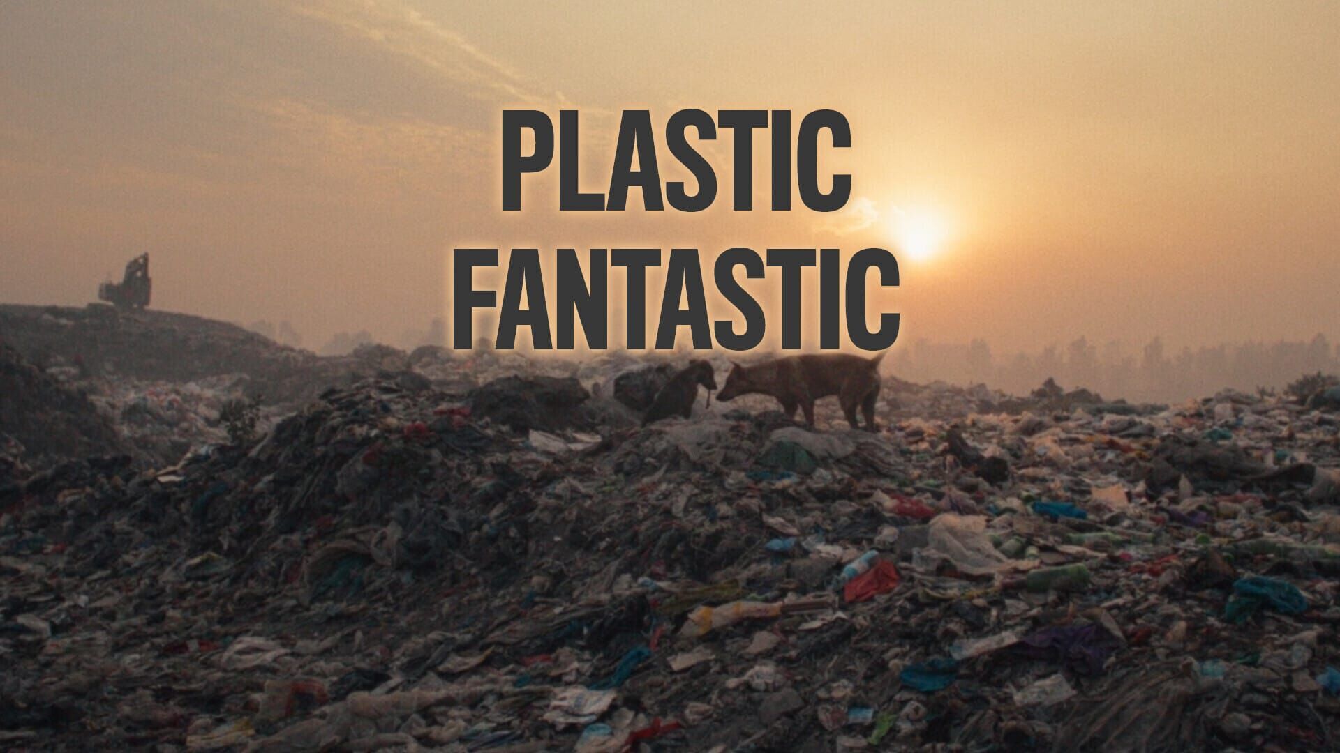 Plastic Fantastic