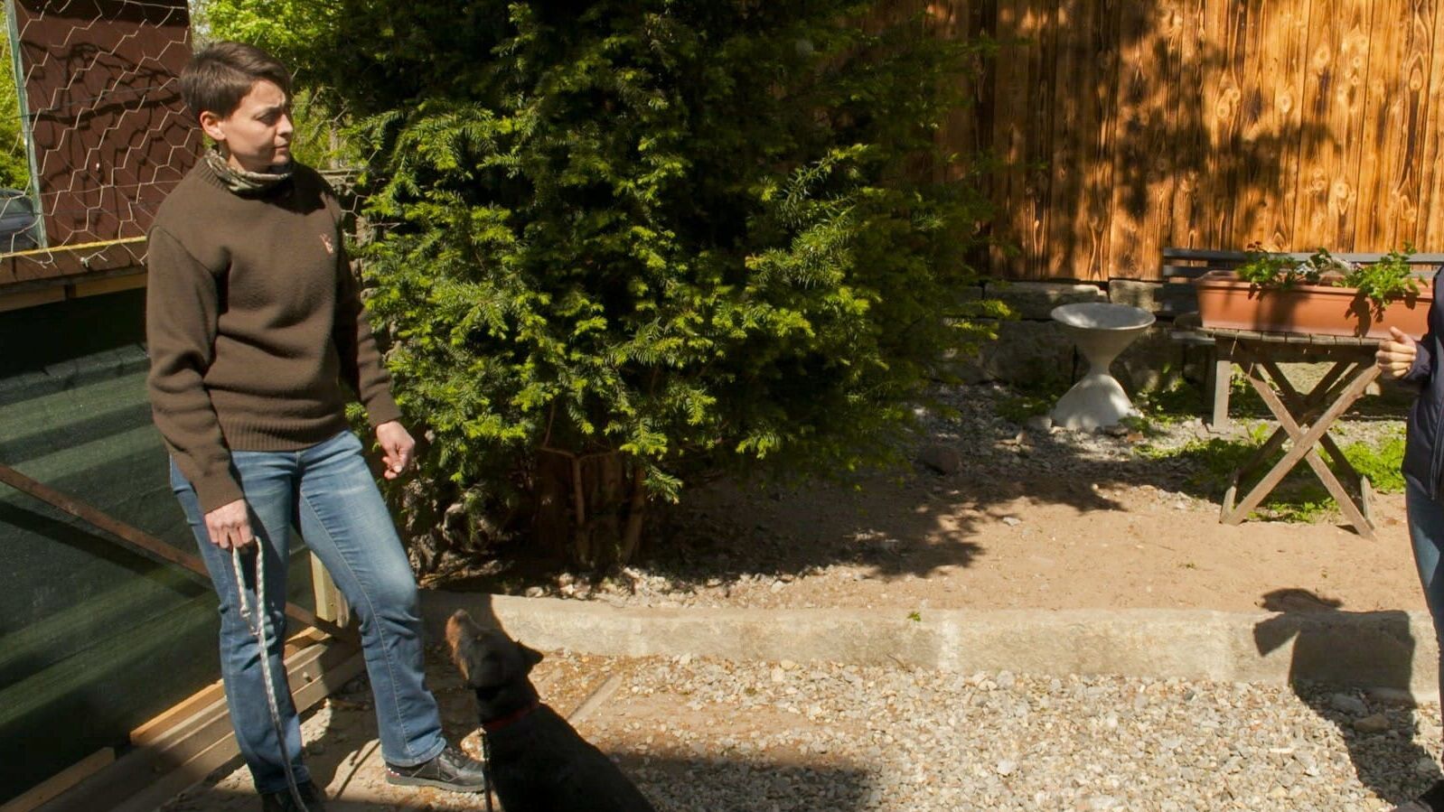 Der Hundeprofi – Rütters Team