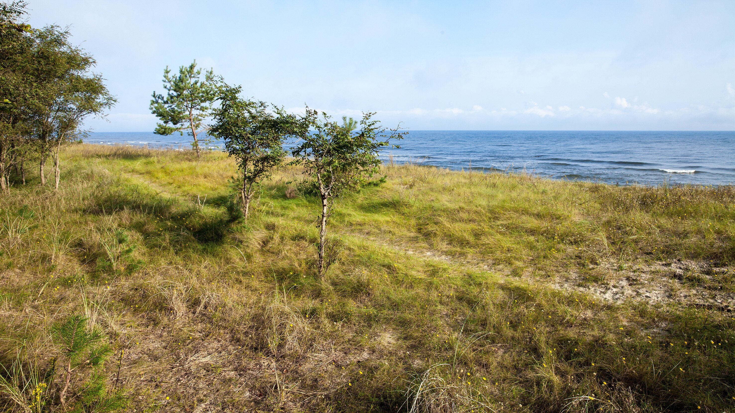 Geisterschiff – Der Usedom-Krimi