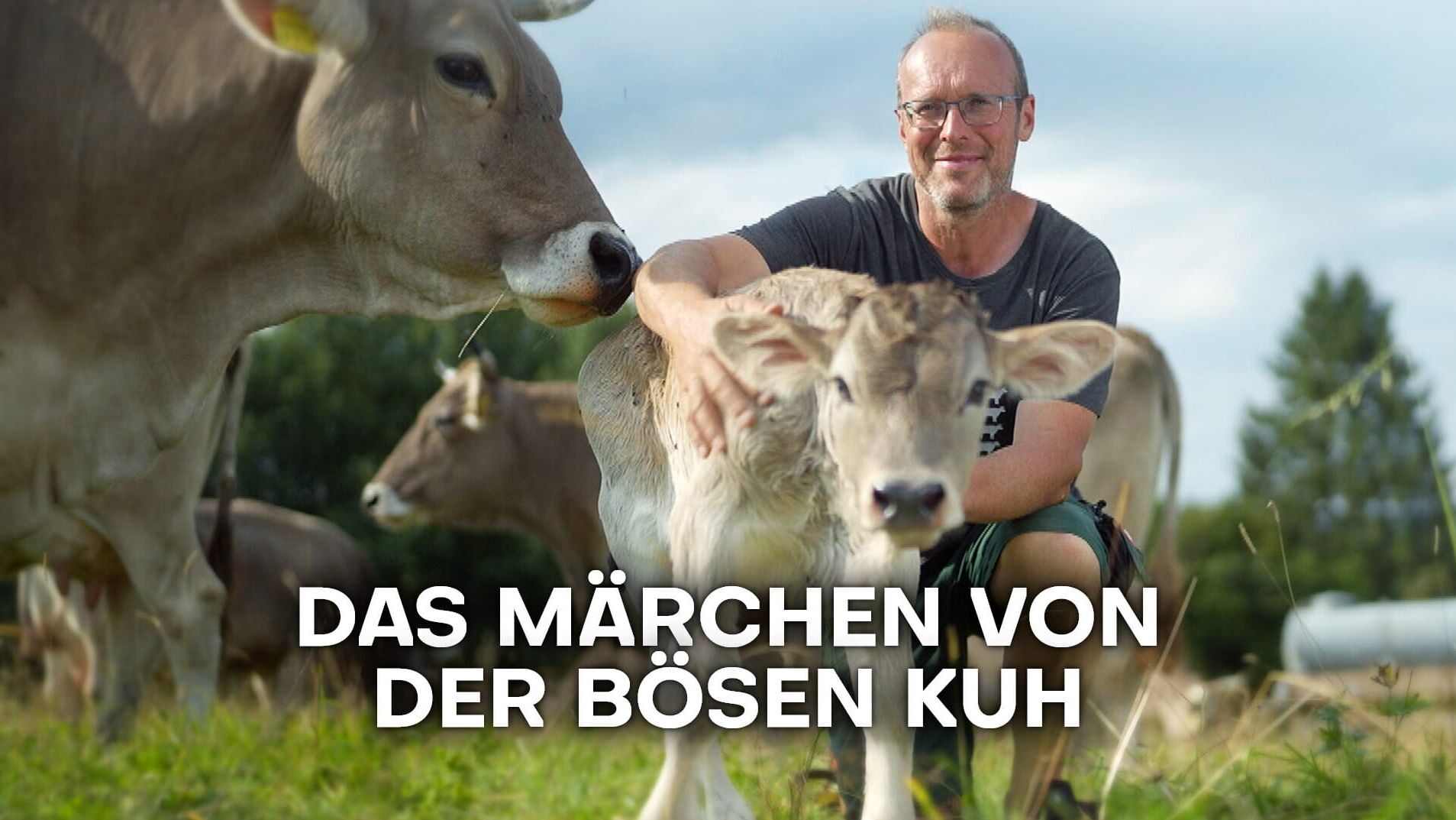 Das Märchen von der bösen Kuh