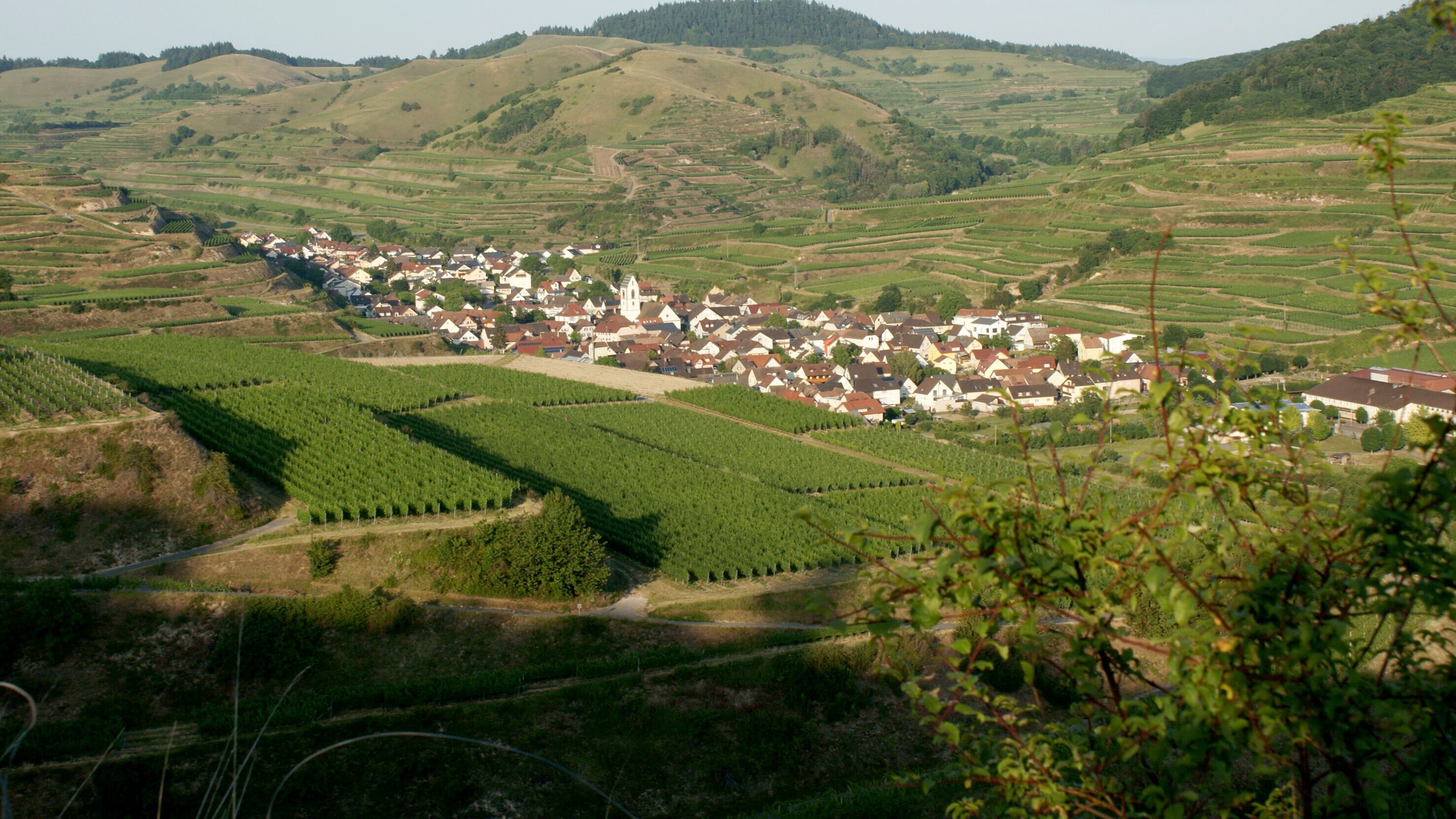 Unsere Berge im Wandel