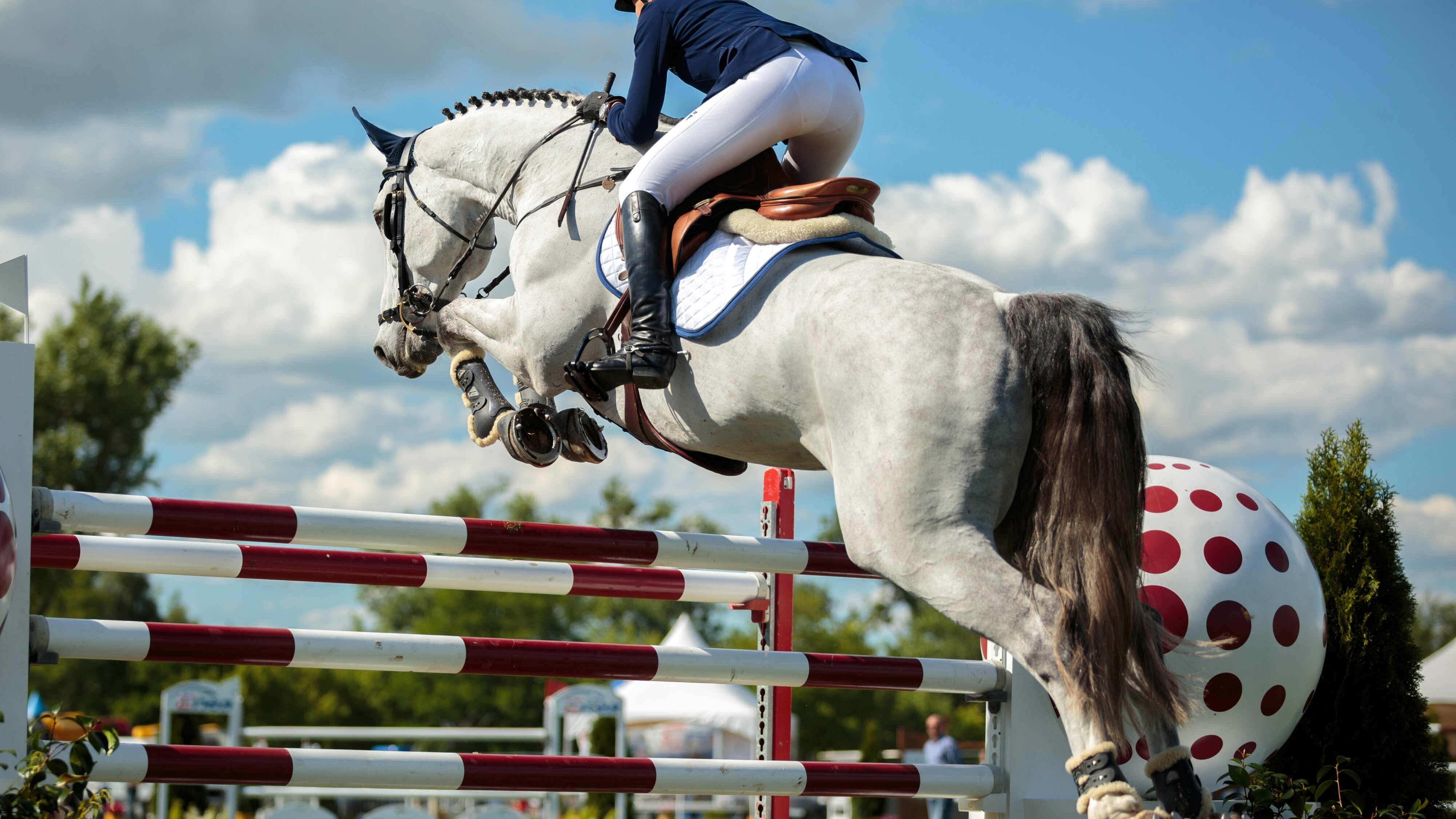 Sportclub live – Deutsches Spring– und Dressur Derby