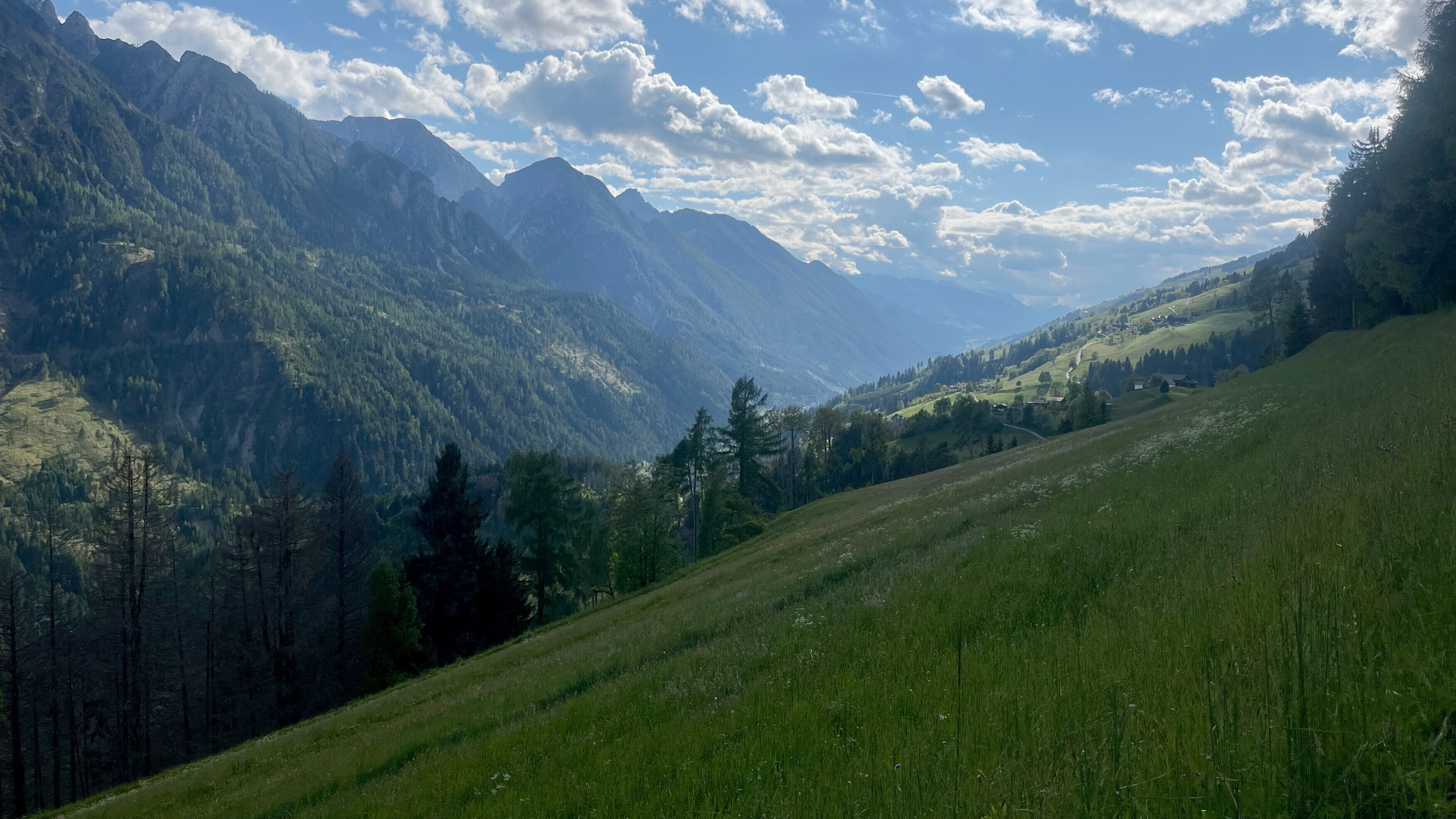 Zurück zur Natur