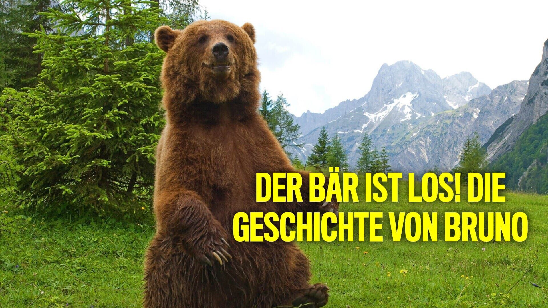 Der Bär ist los! Die Geschichte von Bruno