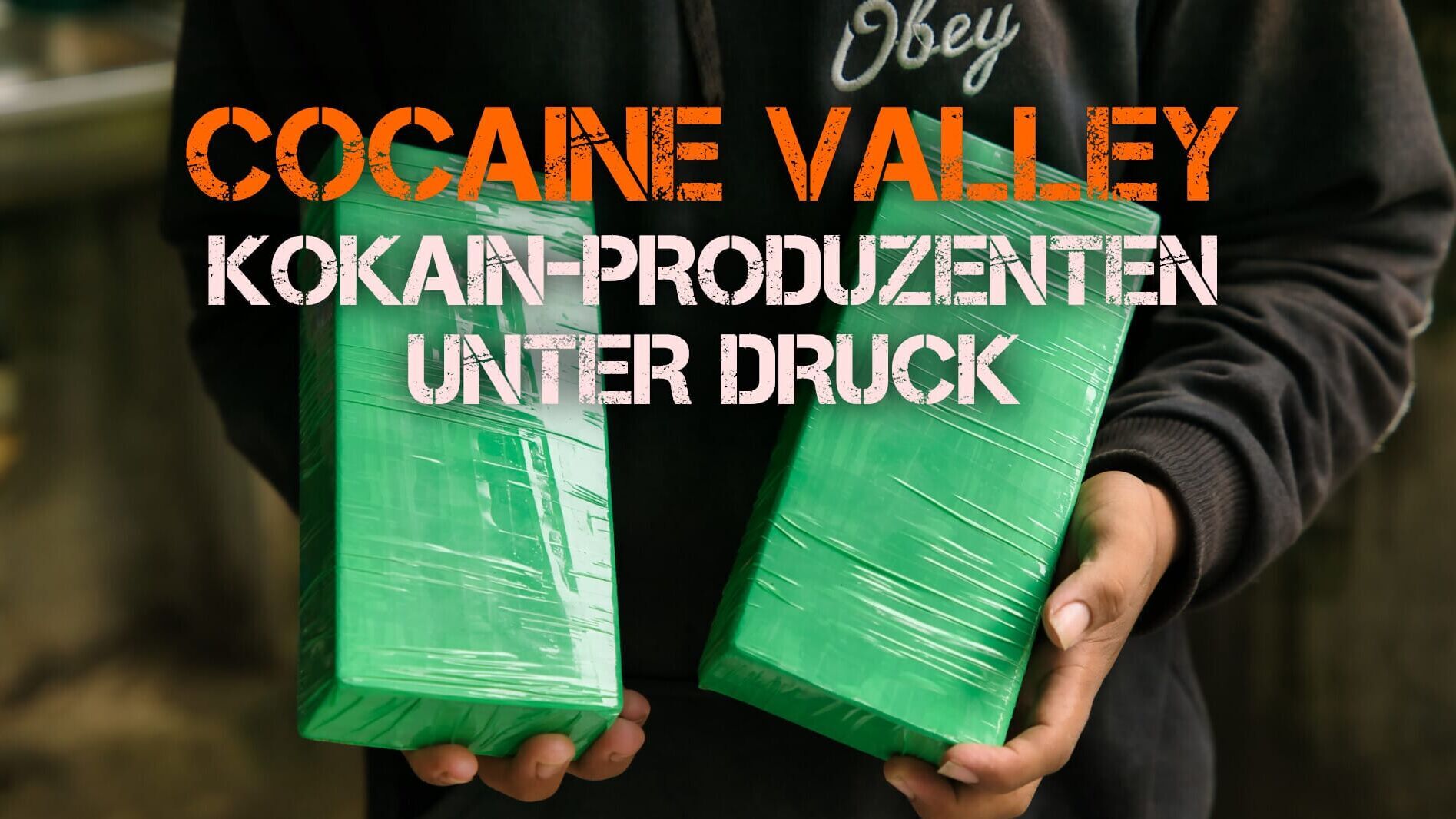 Cocaine Valley – Kokain-Produzenten unter Druck