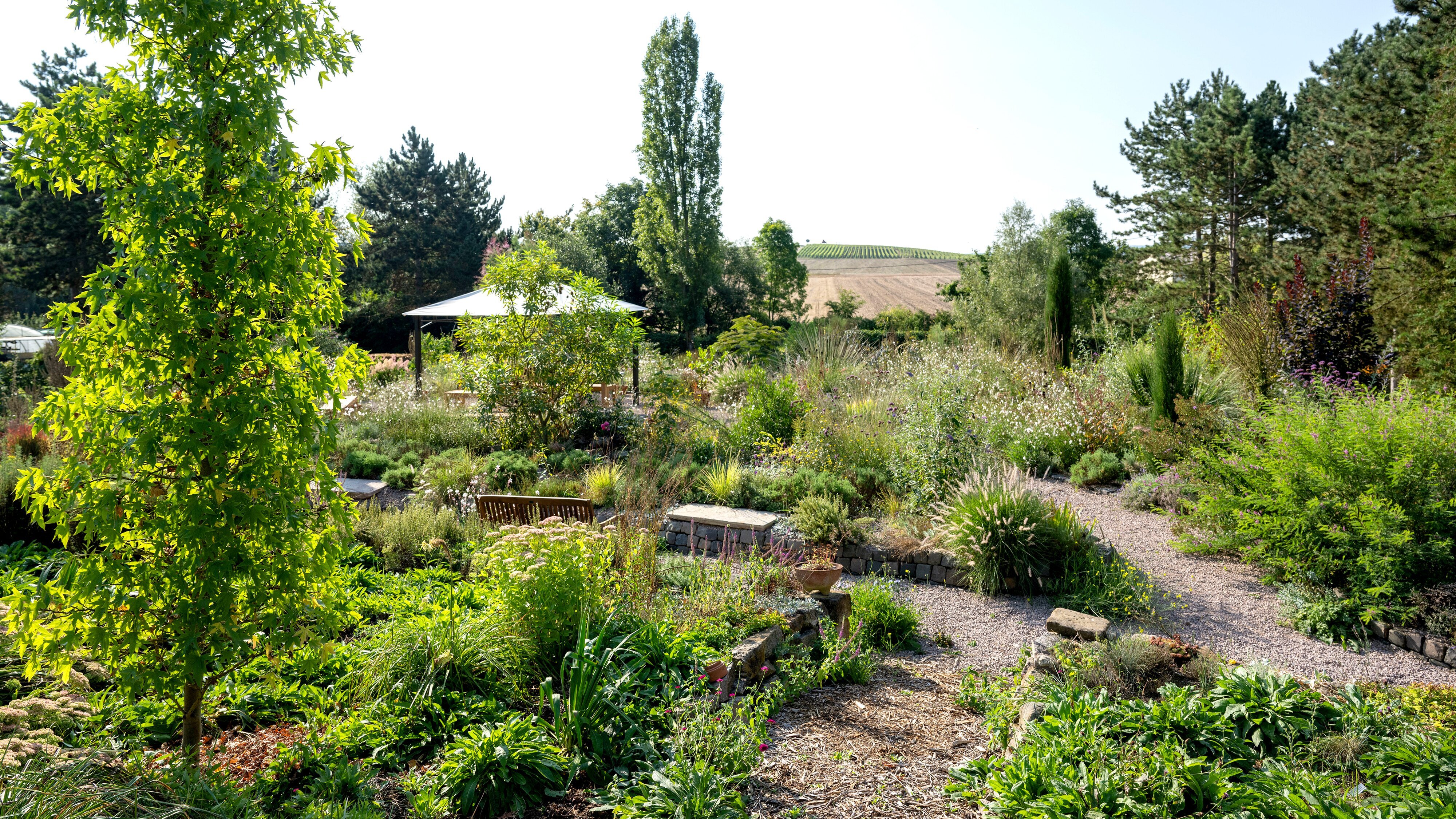 Garten & Lecker