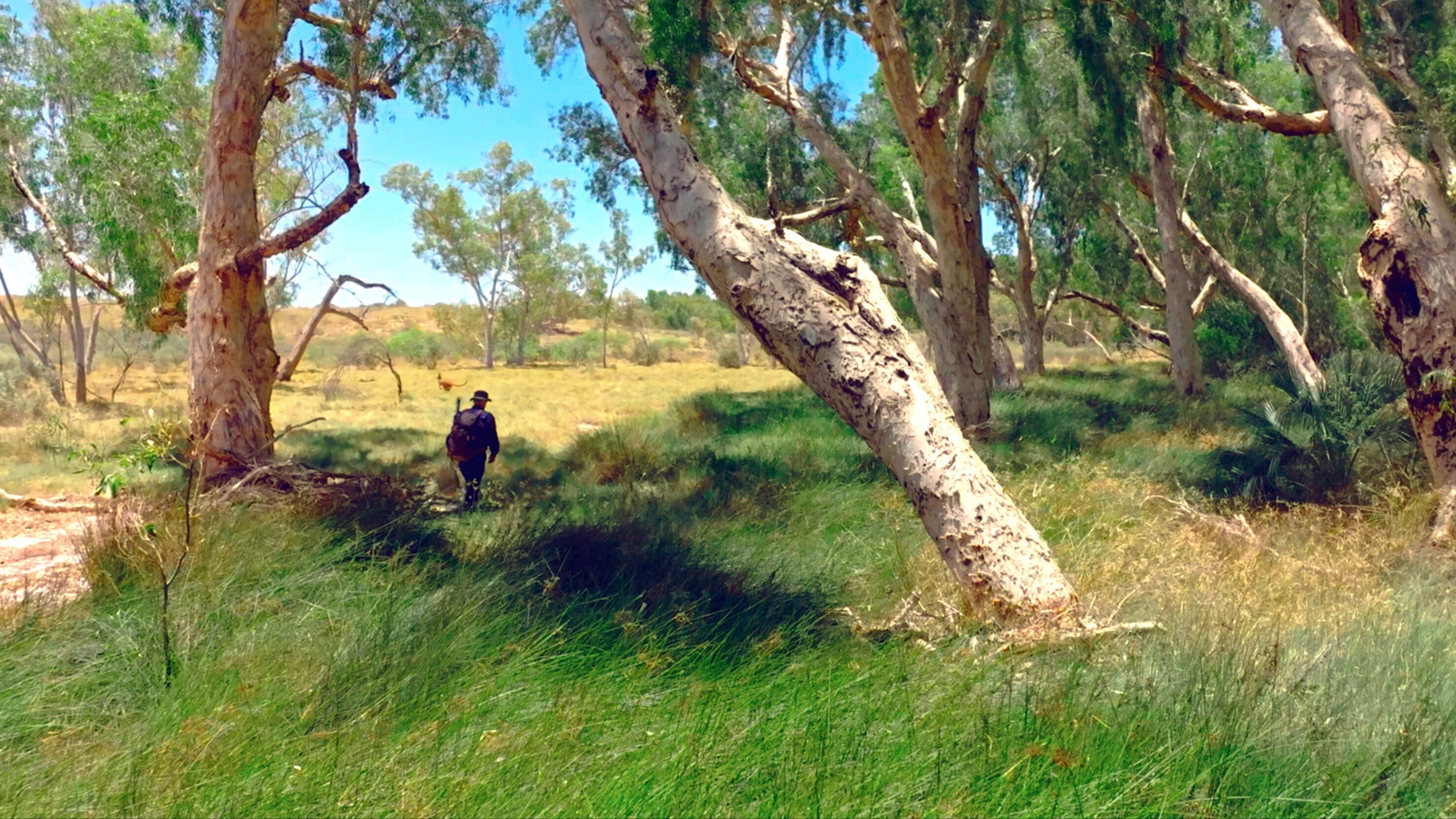 Durch die rote Wüste Westaustraliens