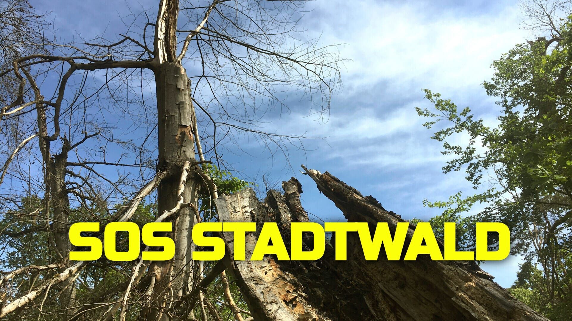 SOS Stadtwald