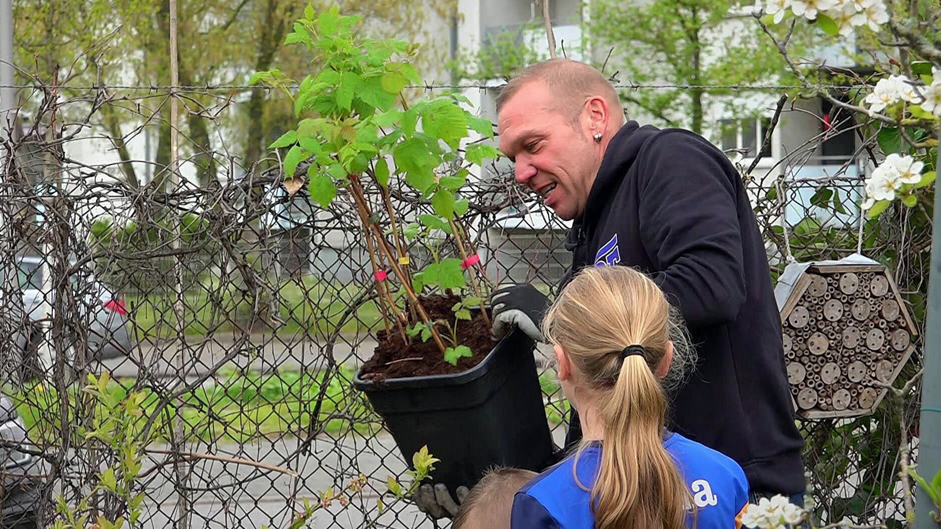 Von Hecke zu Hecke – Bunte Beetgeschichten