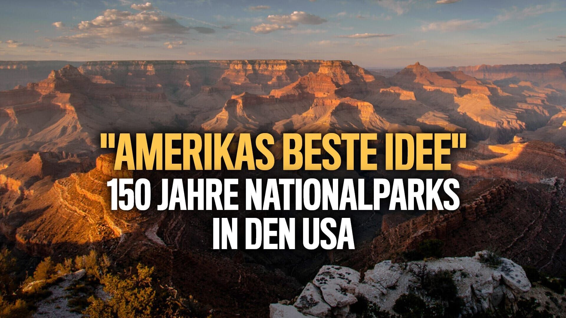 Amerikas beste Idee