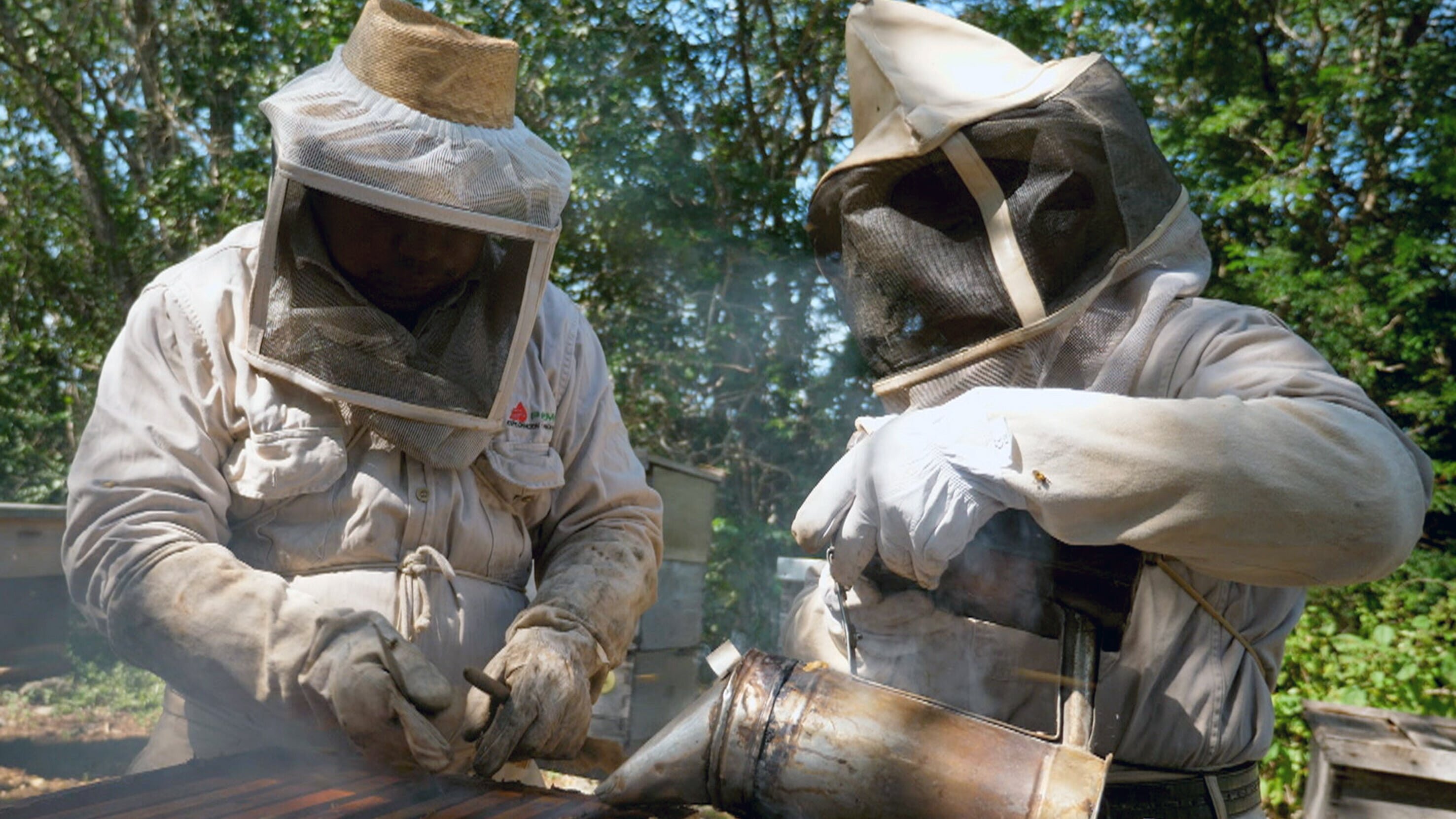 Die Bienenflüsterer