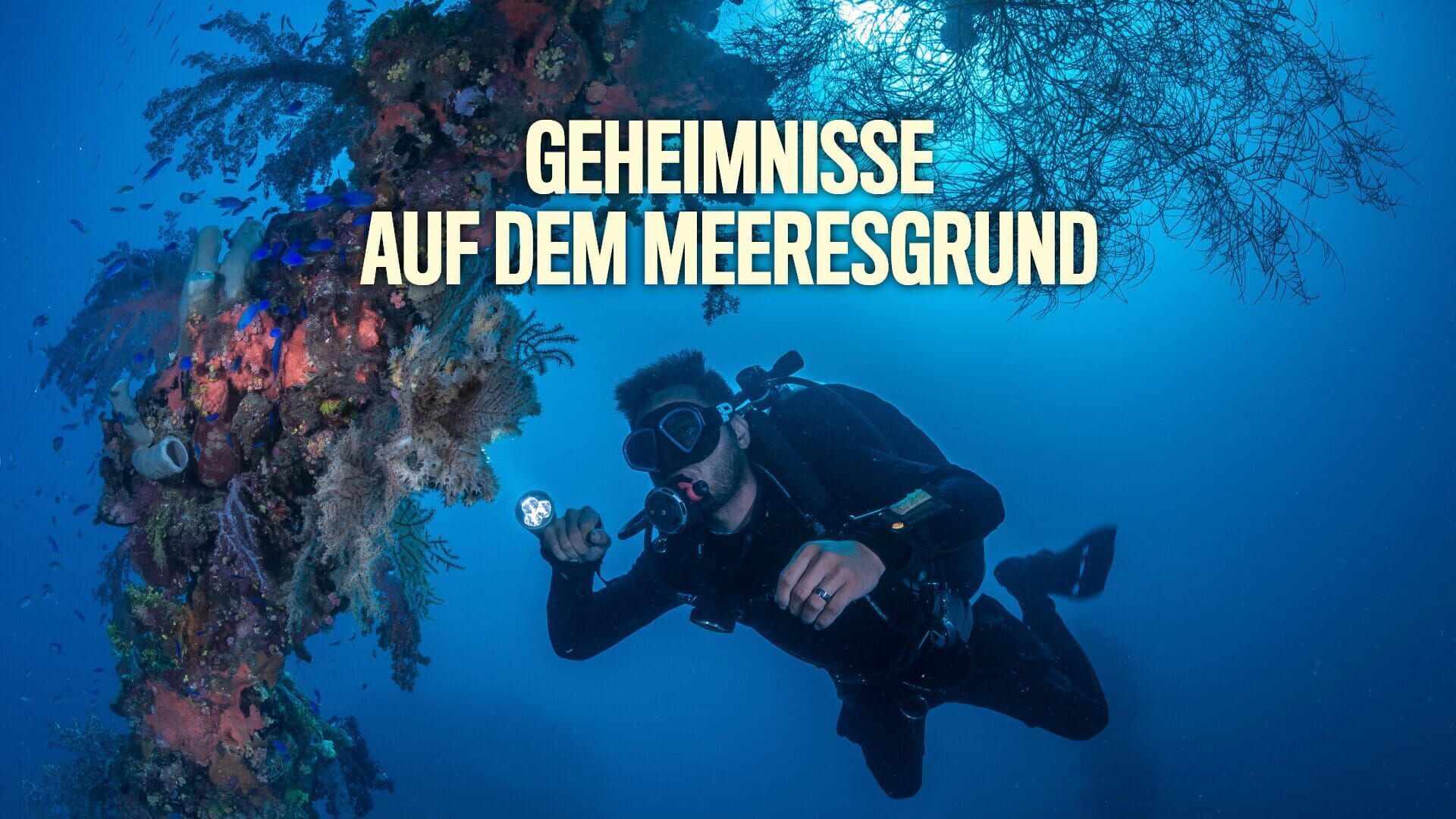 Geheimnisse auf dem Meeresgrund