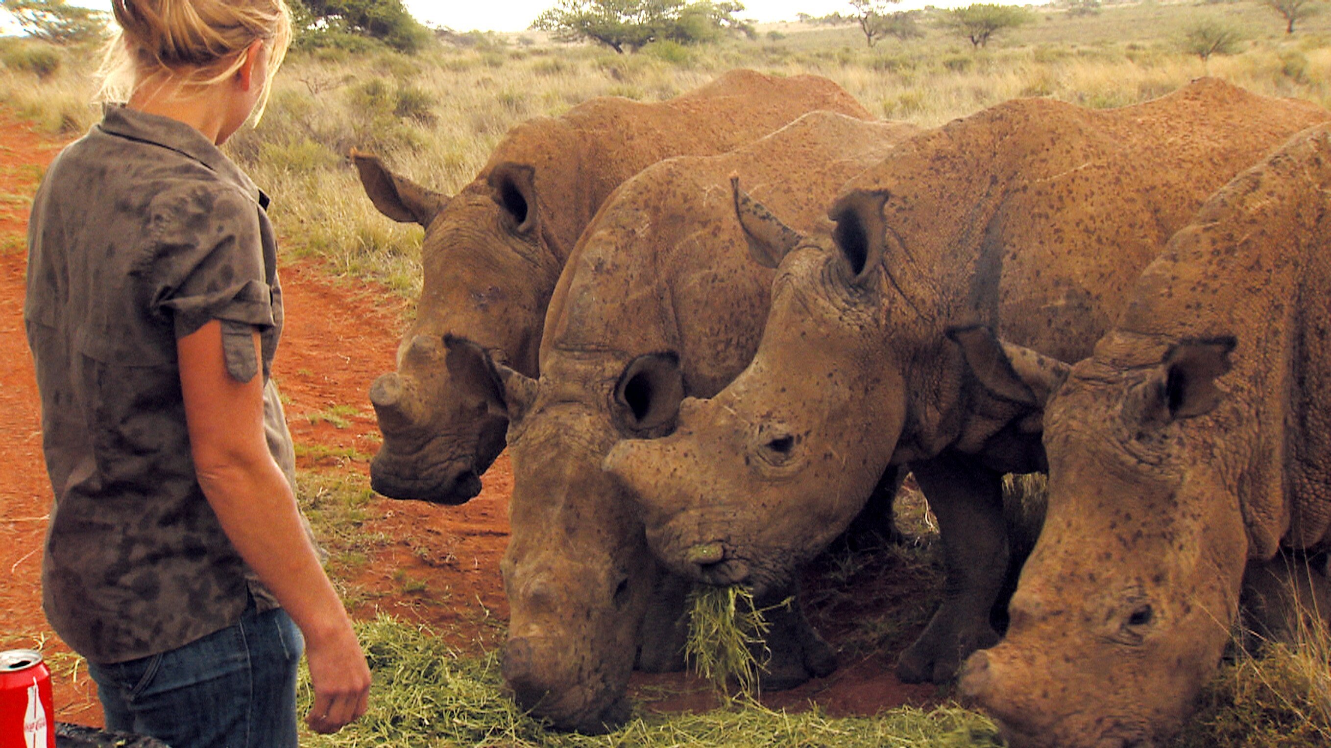 Das Waisenhaus für wilde Tiere – Abenteuer Afrika