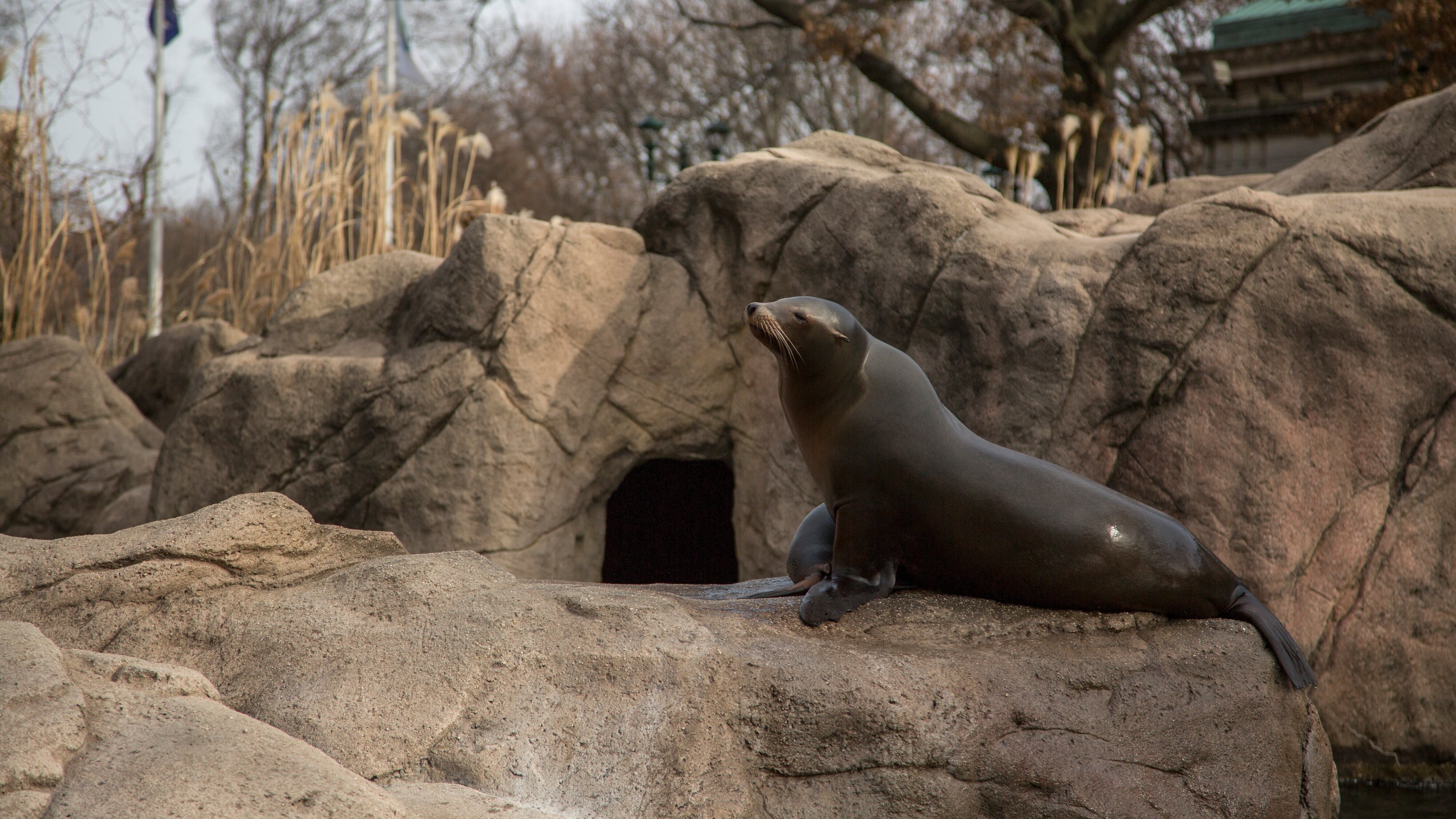Bronx Zoo – Tierpark der Superlative