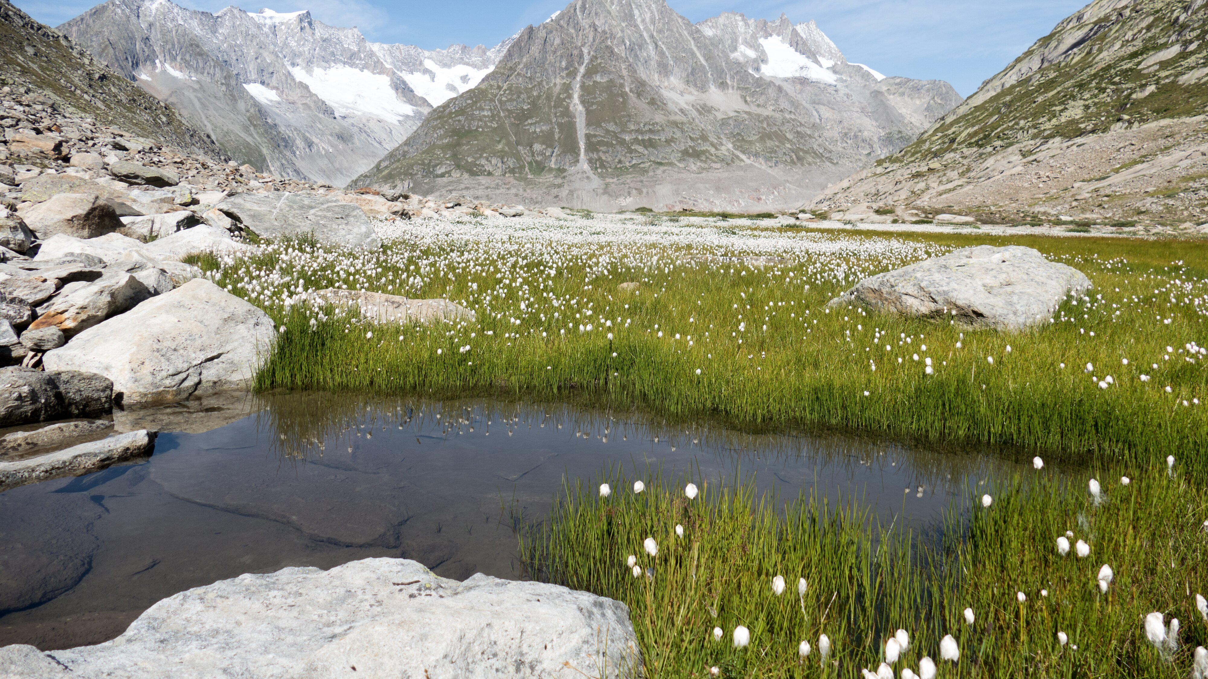 Unsere wilde Schweiz