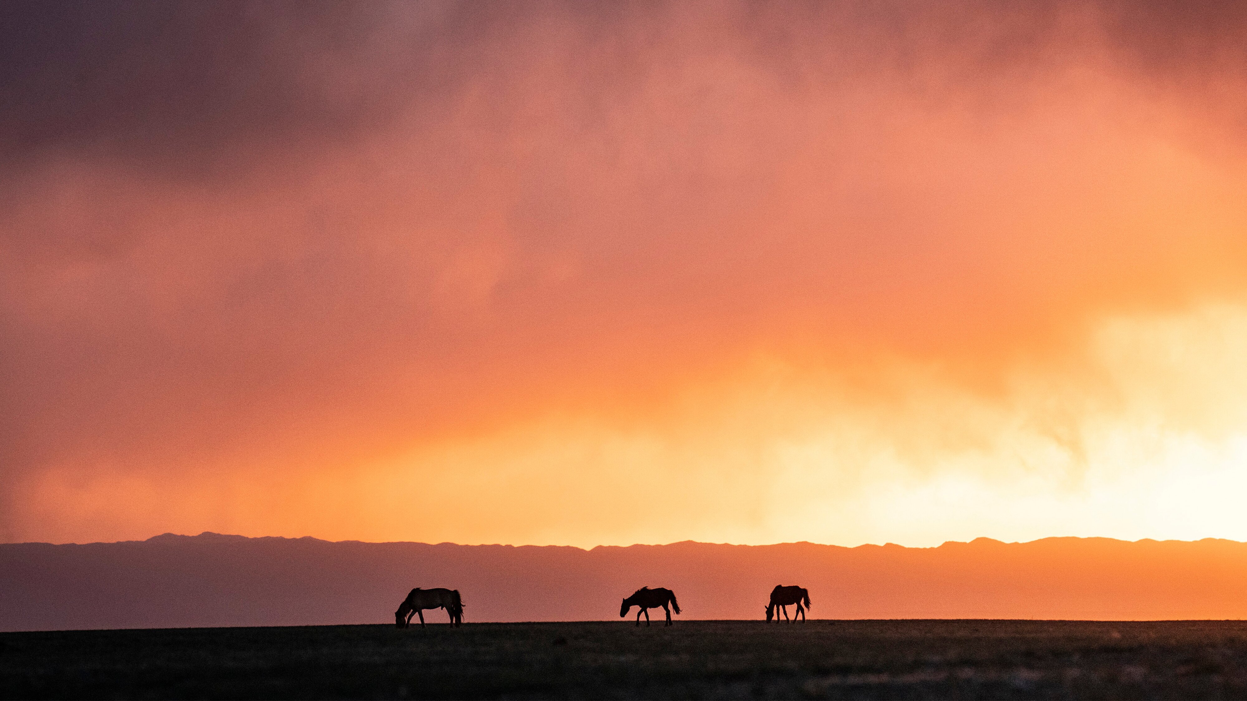 Biwak – Abenteuer Mongolei