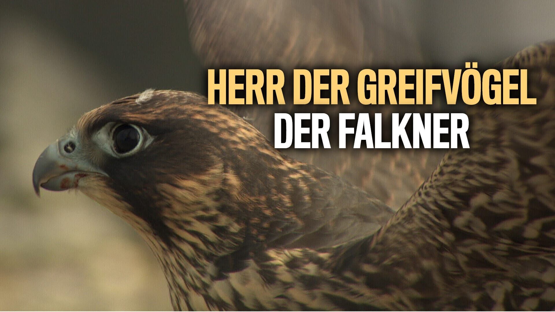 Herr der Greifvögel