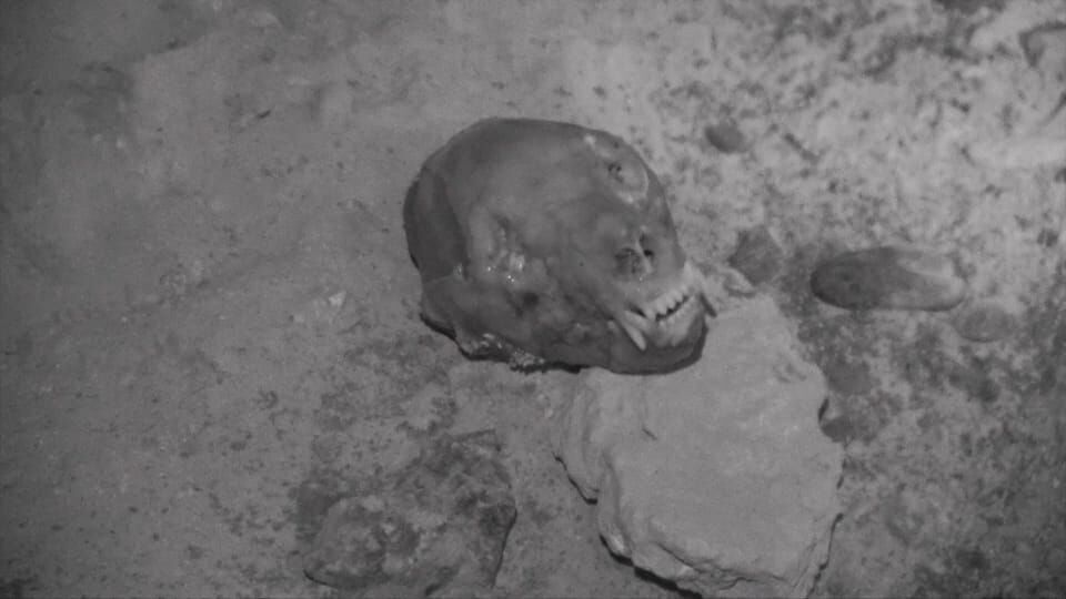 Die Monster-Jäger – Bestien auf der Spur