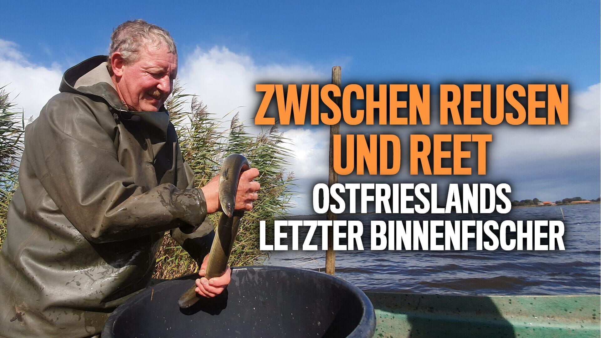 Zwischen Reusen und Reet