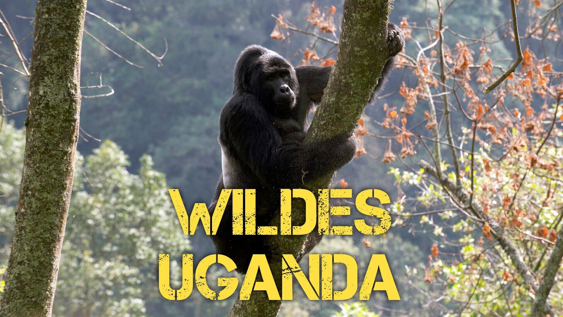 Wildes Uganda – Tierparadies im Osten Afrikas