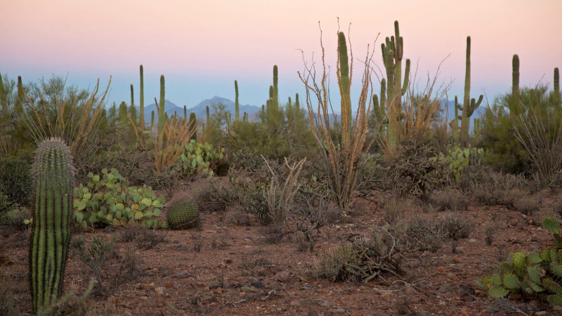 Amerikas beste Idee – 150 Jahre Nationalparks in den USA