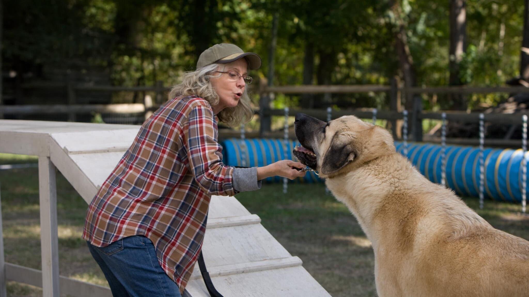 The Lucky One – Für immer der Deine