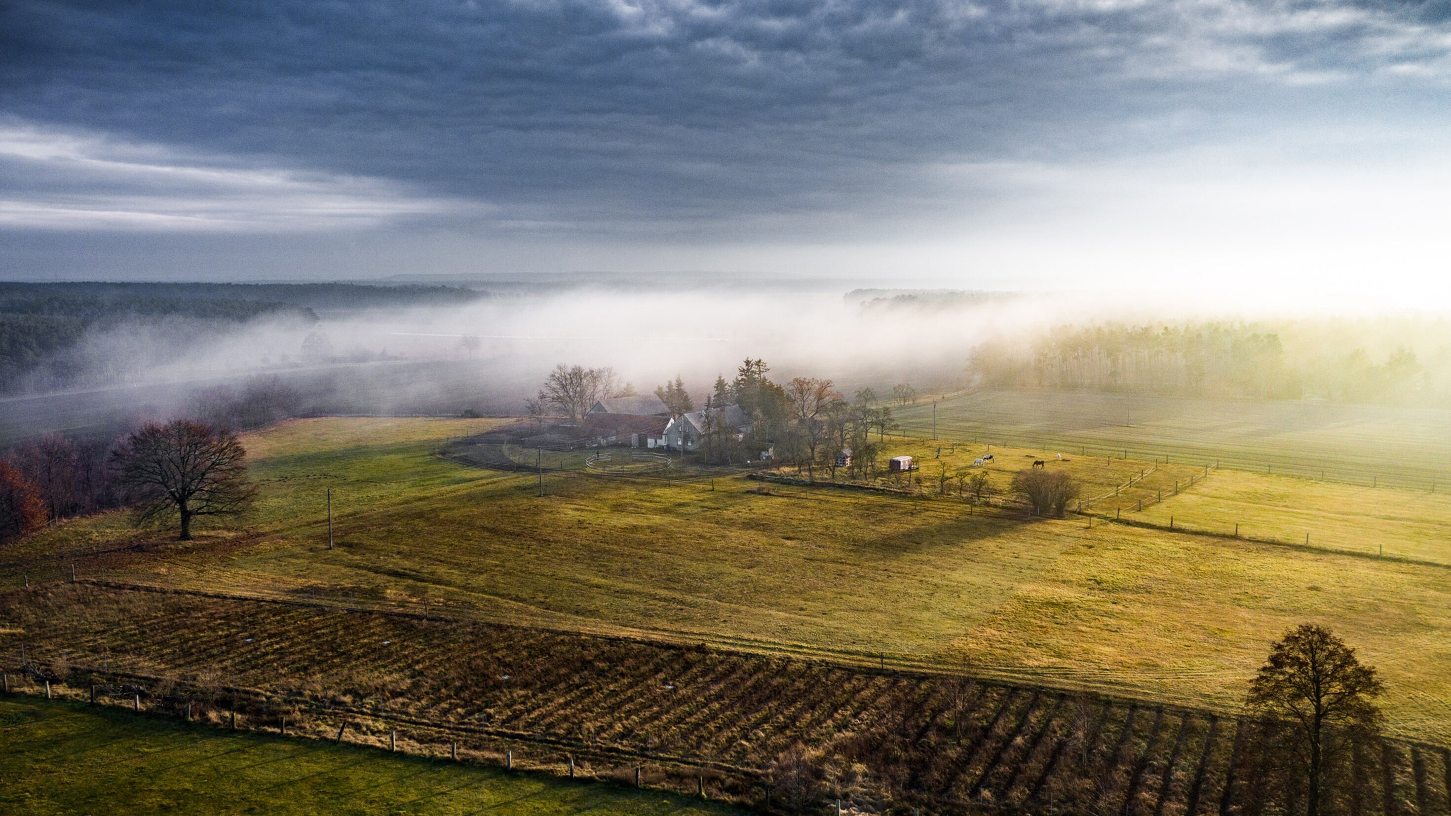 Łužyca