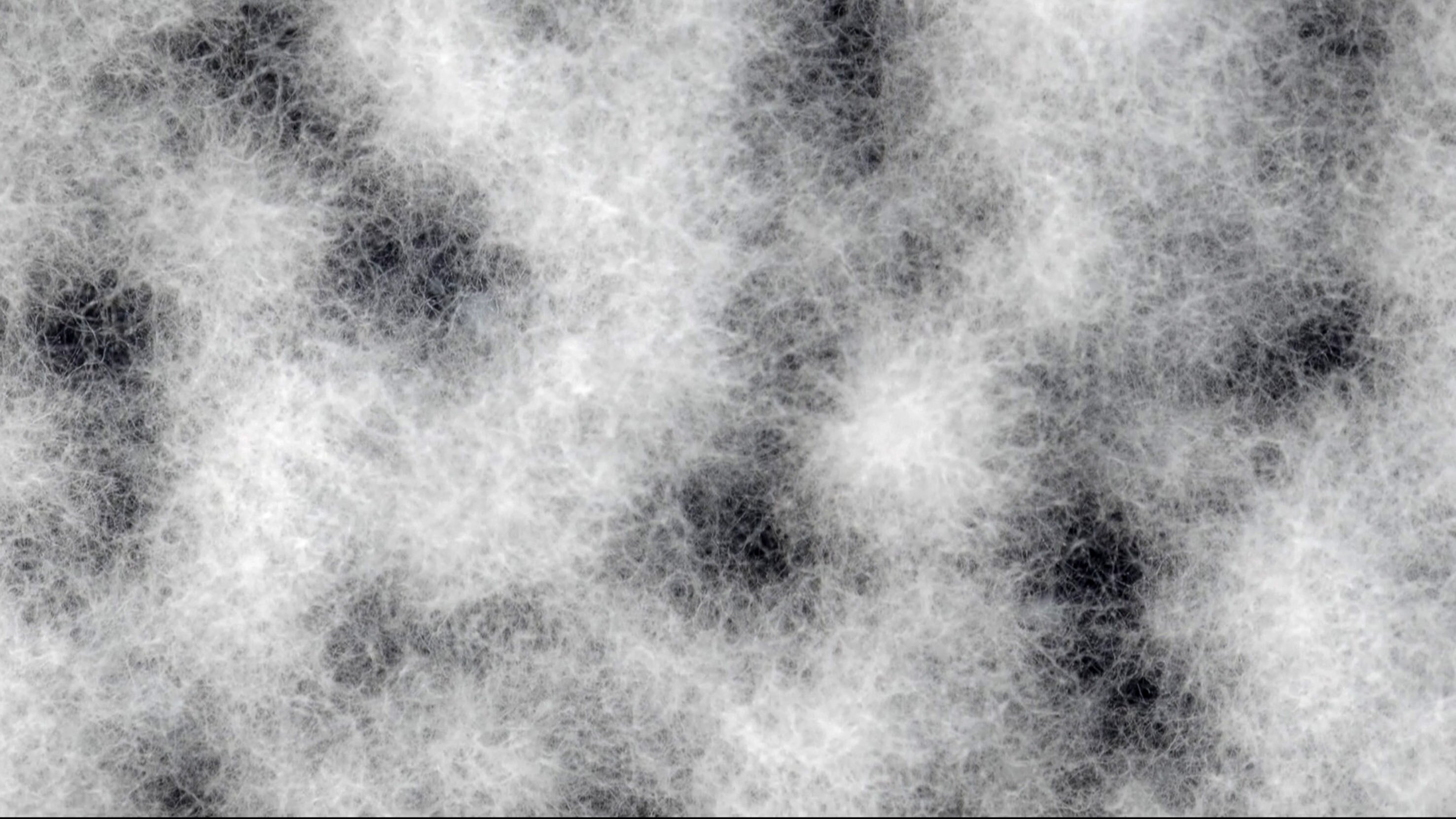 Gute Nachrichten vom Planeten