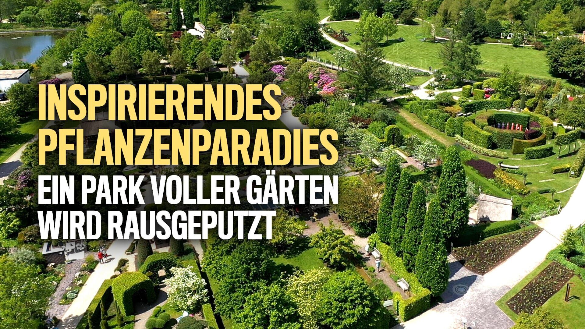 Inspirierendes Pflanzenparadies