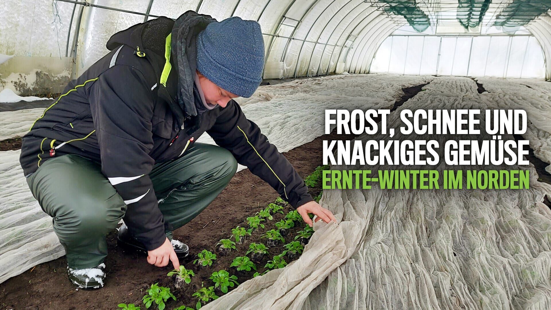 Frost, Schnee und knackiges Gemüse