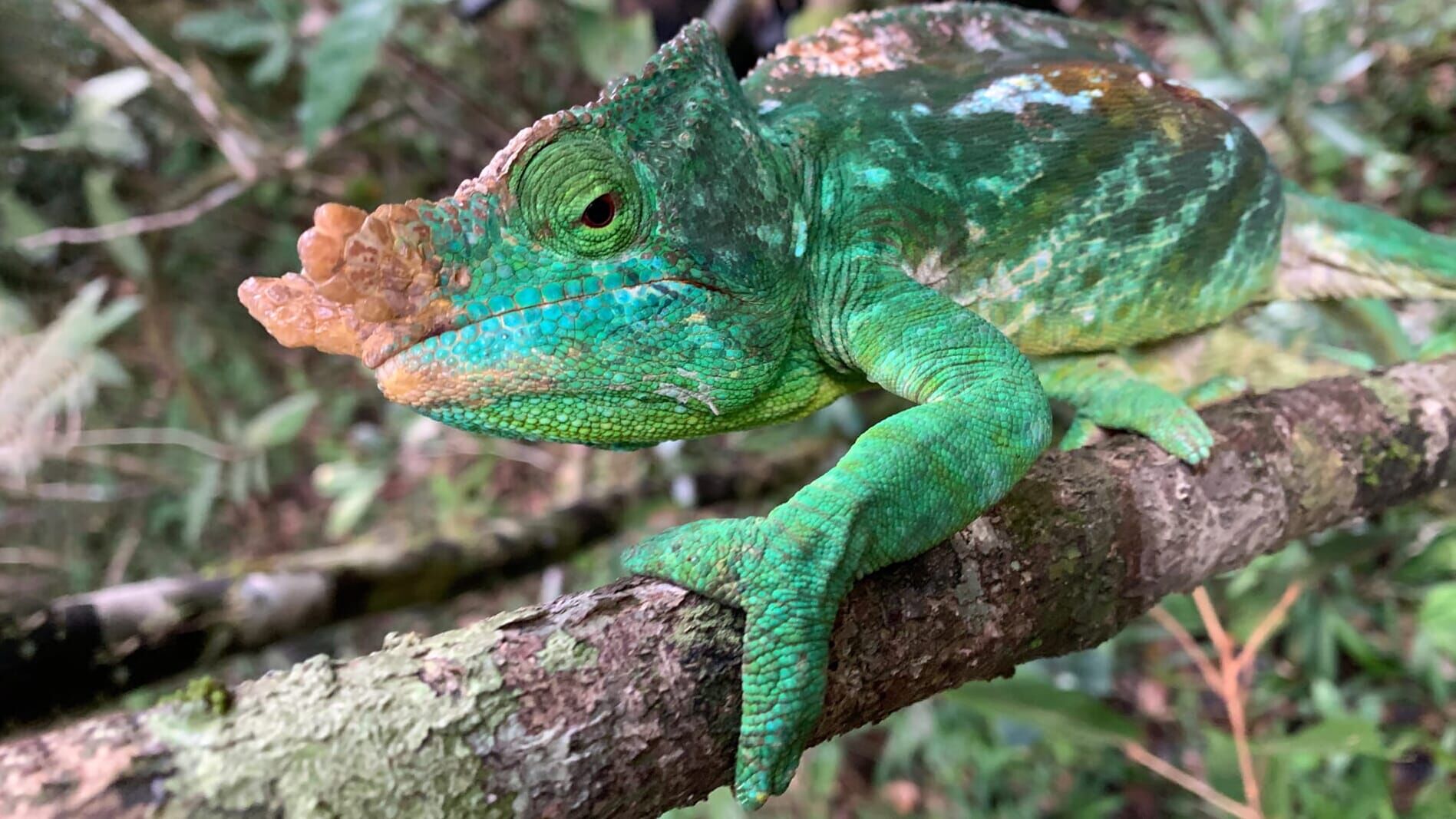 Unbekanntes Madagaskar