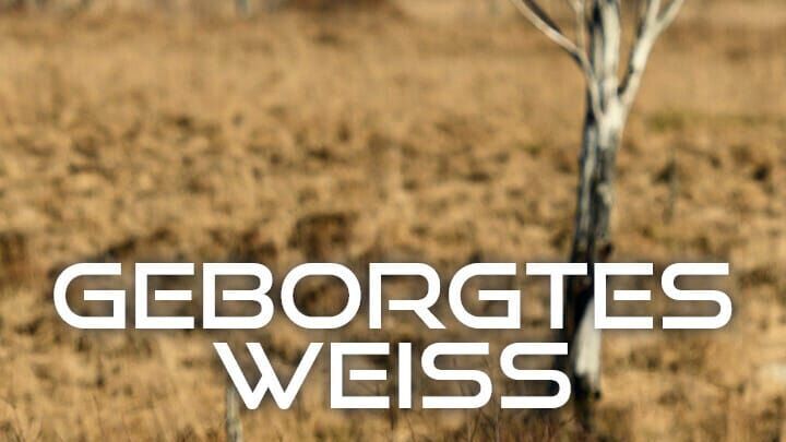 Geborgtes Weiß