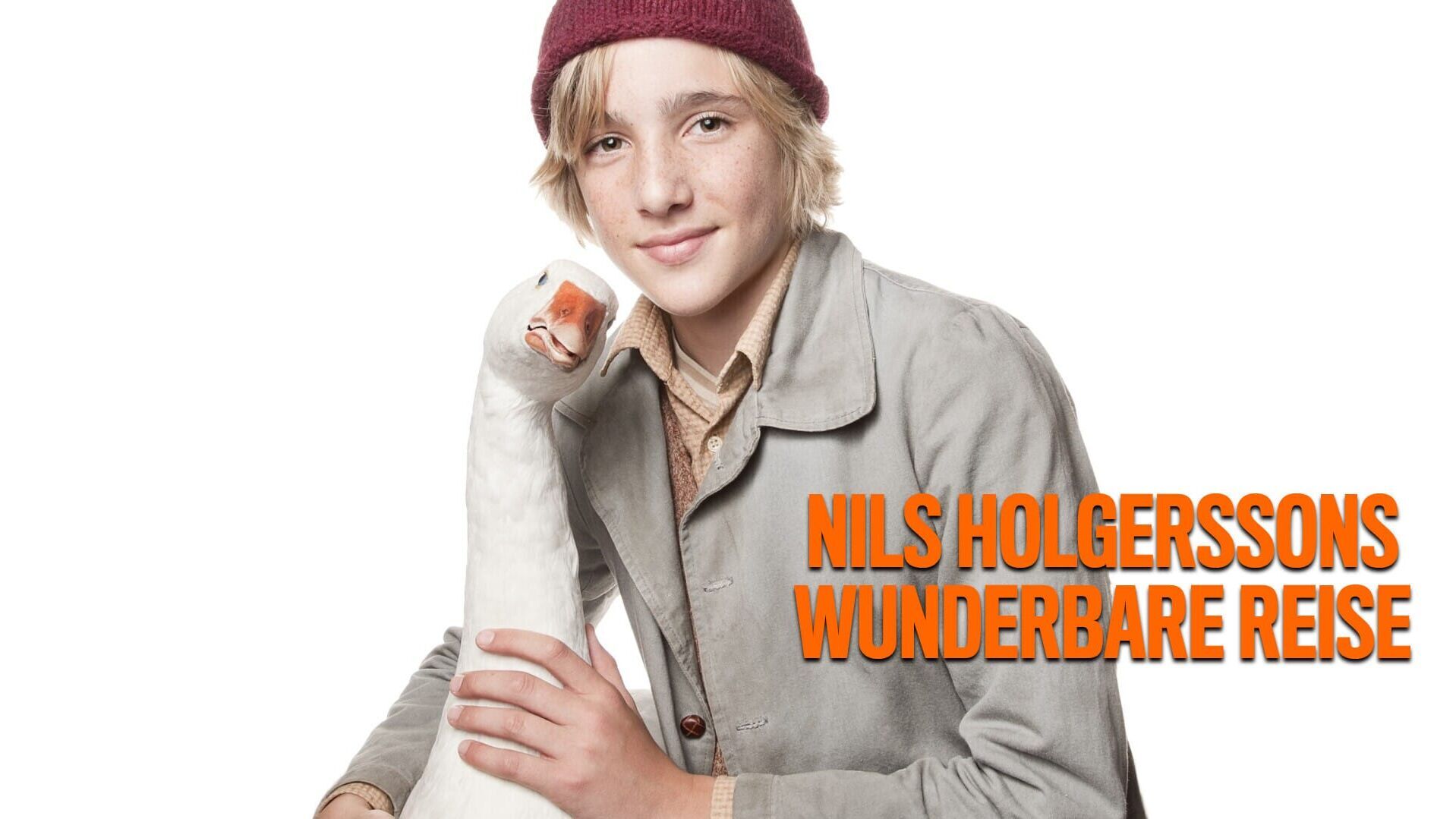 Nils Holgerssons wunderbare Reise
