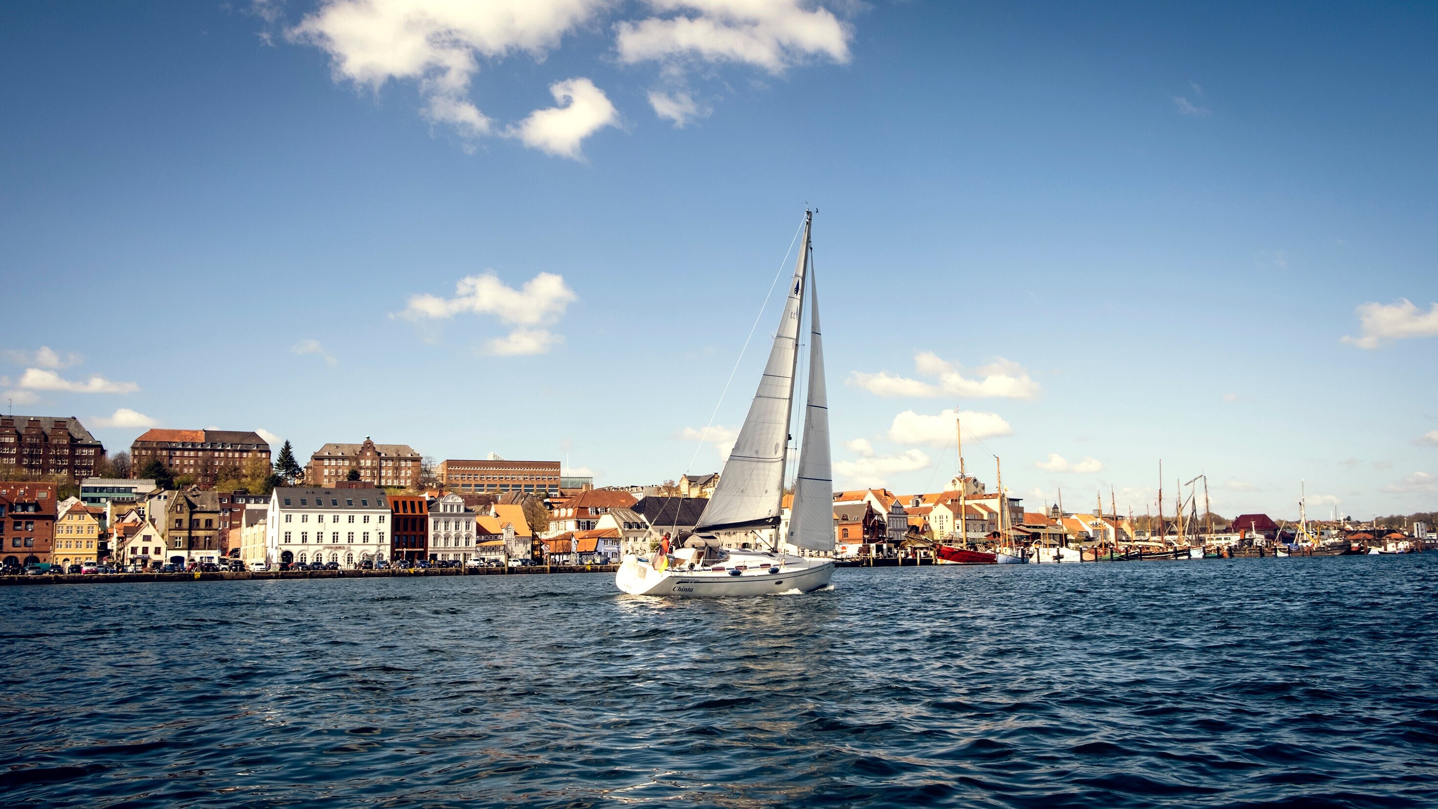 Der Flensburg-Krimi: Der Tote am Strand