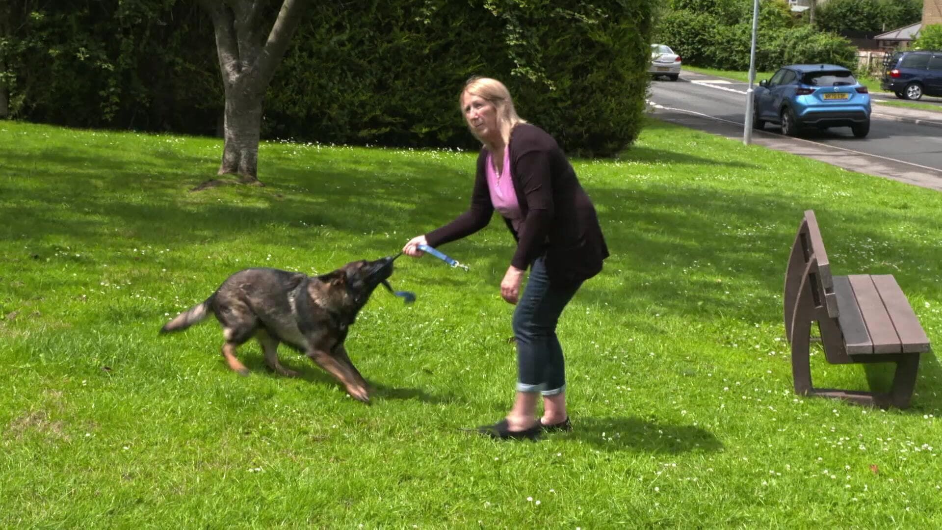 Hunde außer Kontrolle – Ein Coach für alle Felle