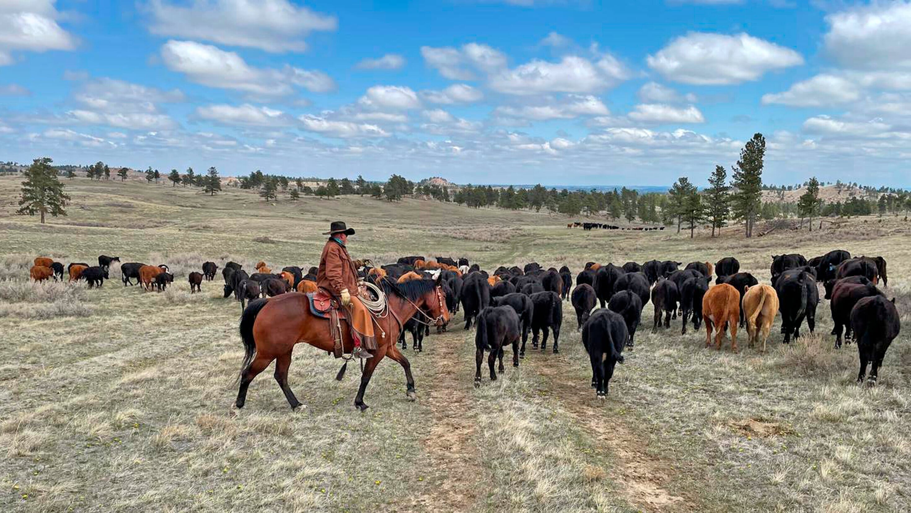 Rocky Mountains – Wo der Westen noch wild ist