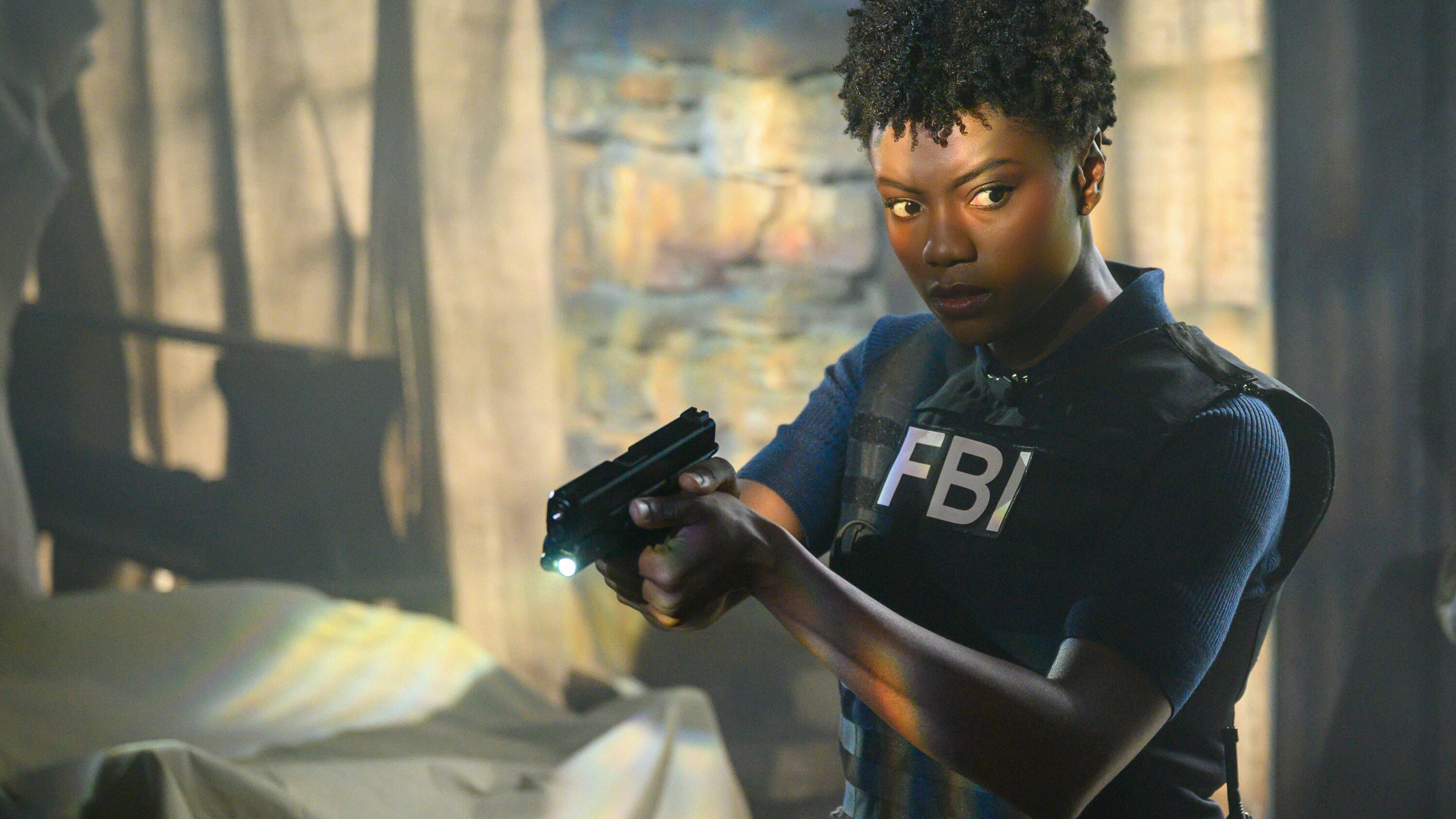FBI: Special Crime Unit