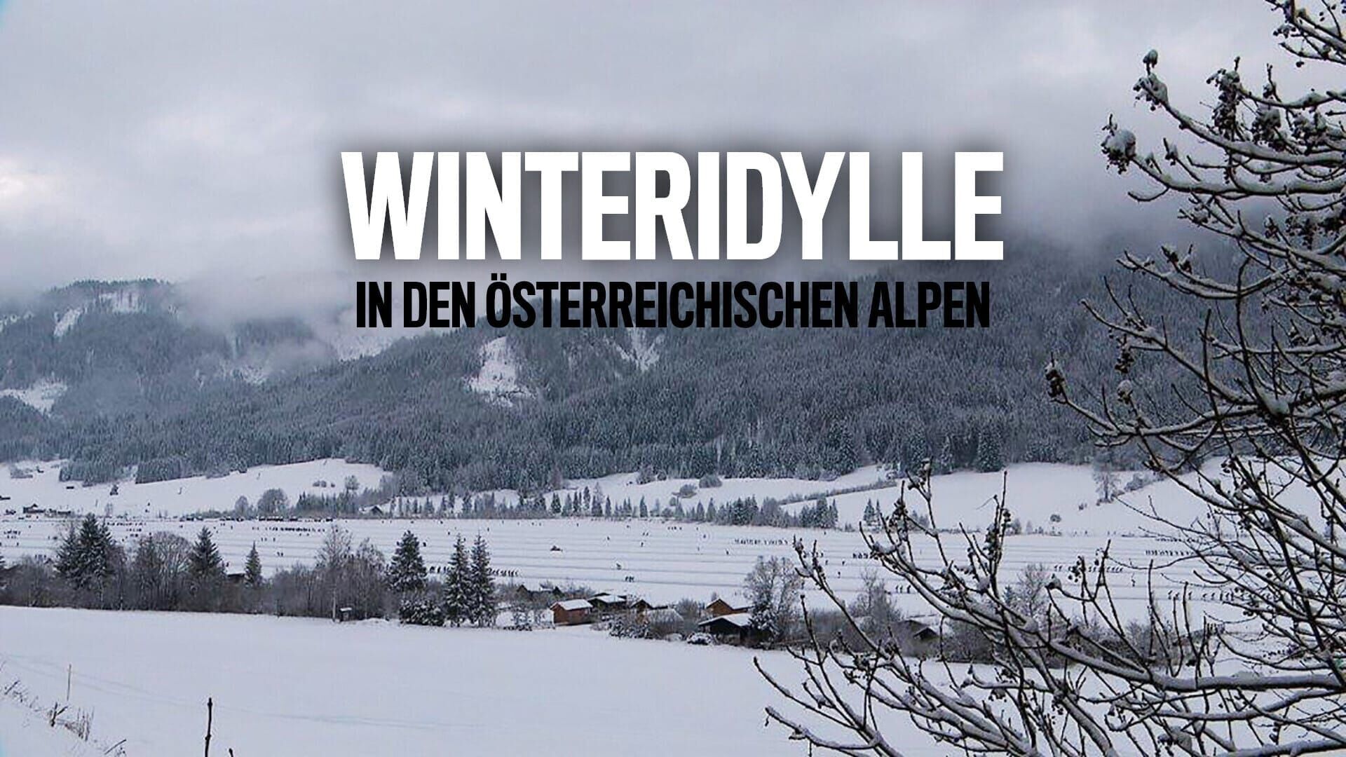 Winteridylle in den österreichischen Alpen